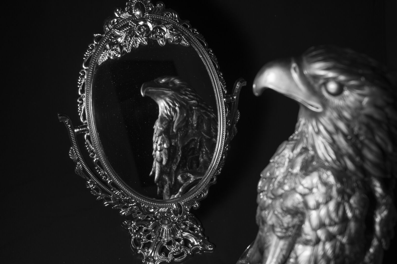 Sony DT 18-55mm F3.5-5.6 SAM II sample photo. Reflection, eagle, mirror photography