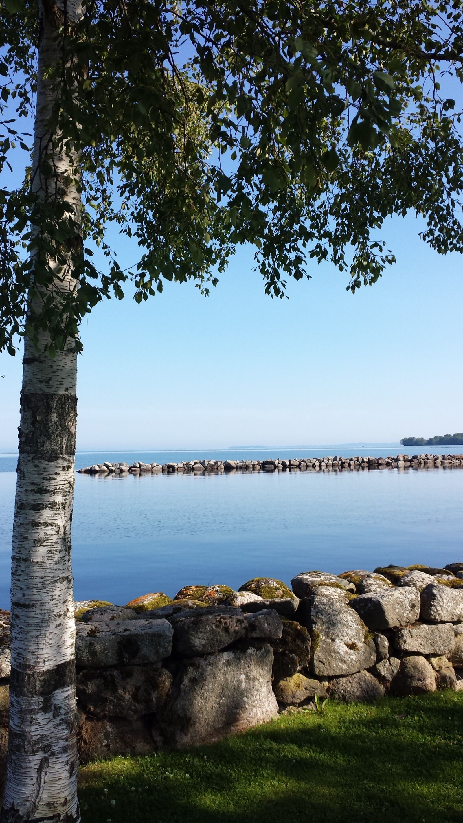 Samsung Galaxy S4 sample photo. Birch, stone wall, vadstena photography