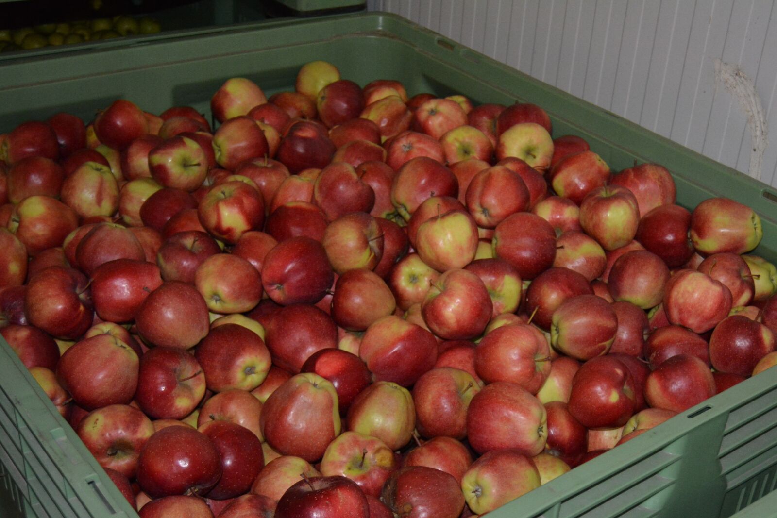 Nikon D5200 sample photo. Apples, apple crate, apple photography