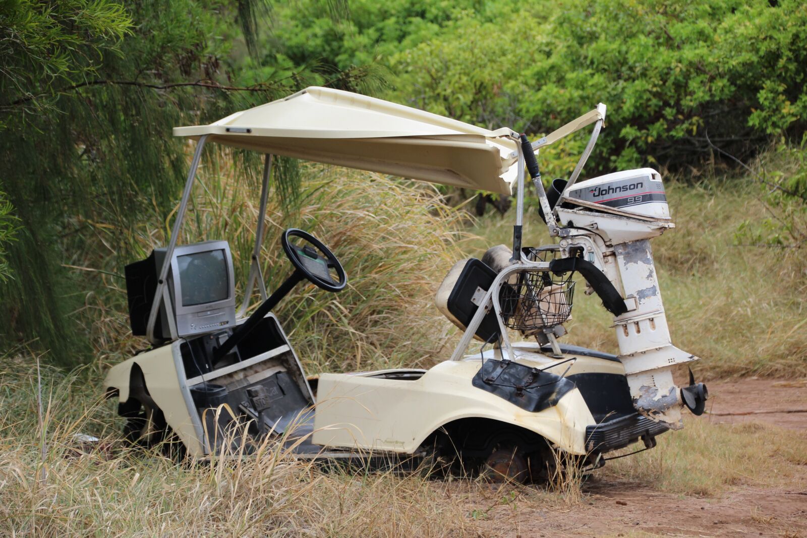 Canon EOS 1200D (EOS Rebel T5 / EOS Kiss X70 / EOS Hi) sample photo. Golf cart, outboard engine photography
