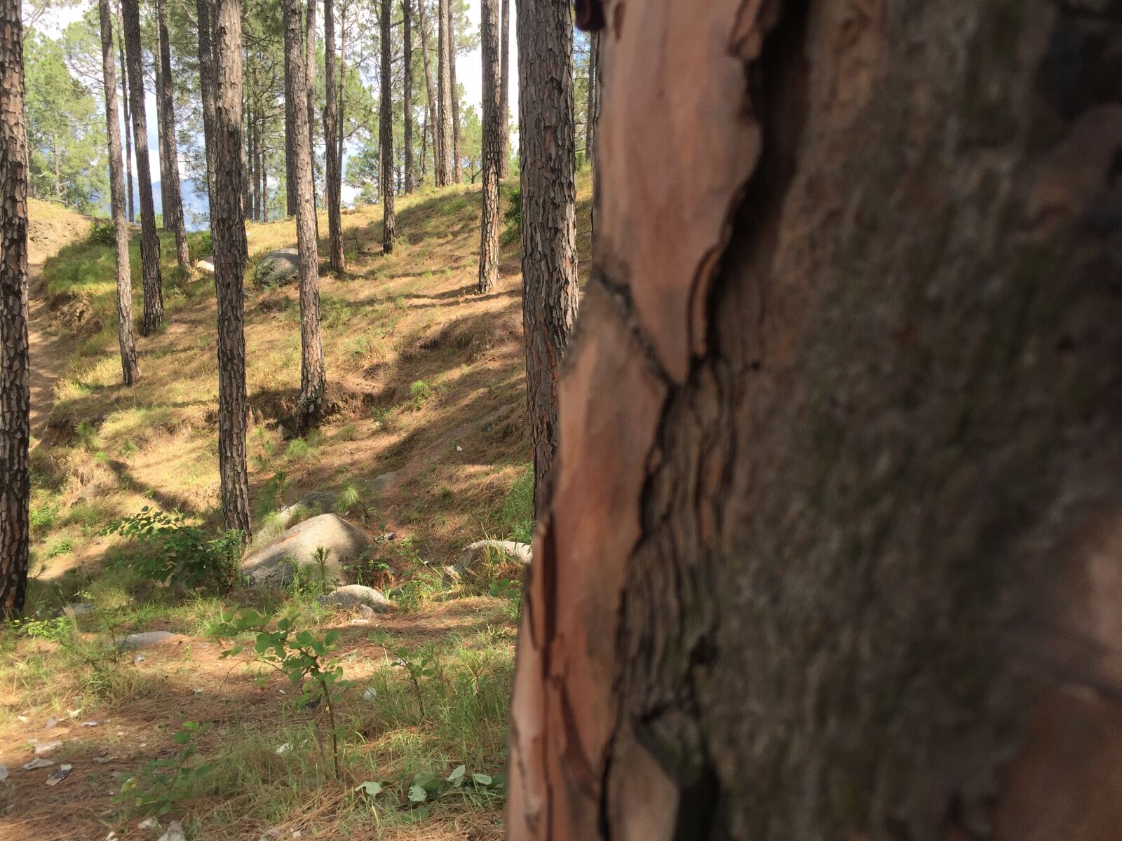 Apple iPhone 6 sample photo. Swat, pakistan, by, jnd photography