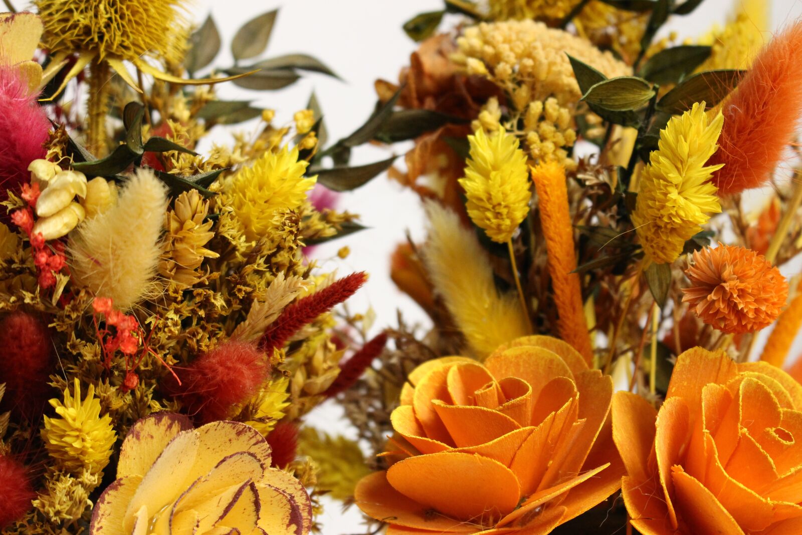 Canon EOS 100D (EOS Rebel SL1 / EOS Kiss X7) sample photo. Decoration, dried grasses, flowers photography