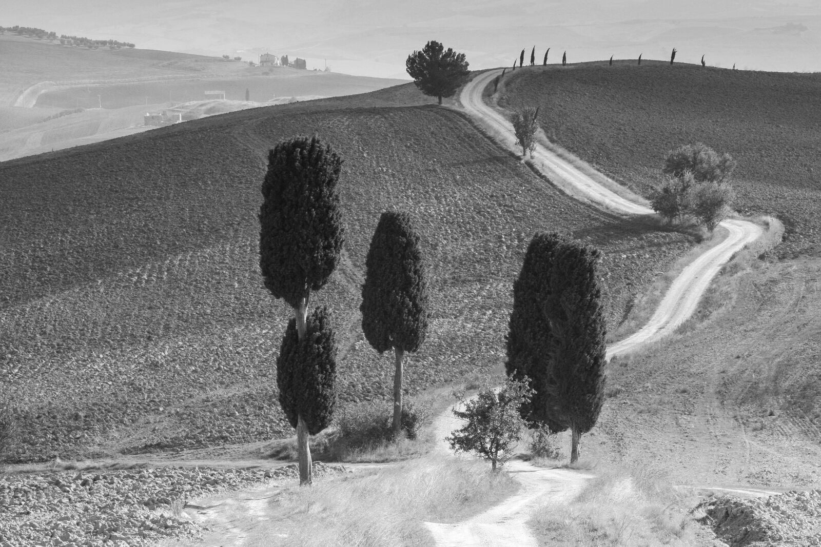 Canon EOS 30D sample photo. Tuscany, italy, landscape photography