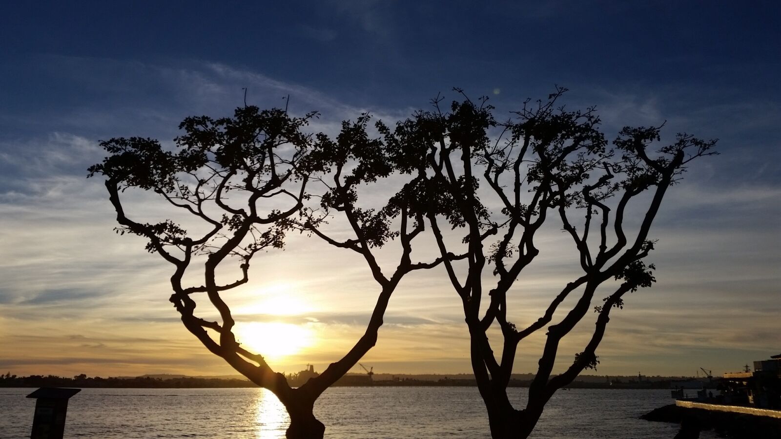 Samsung Galaxy S5 sample photo. Tree, sunset, nature photography