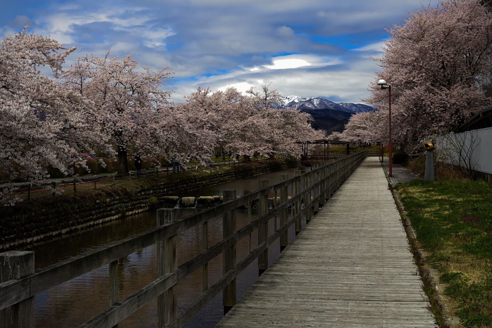 Canon EOS 200D (EOS Rebel SL2 / EOS Kiss X9) sample photo. Cherry blossoms, mountains, sakura photography