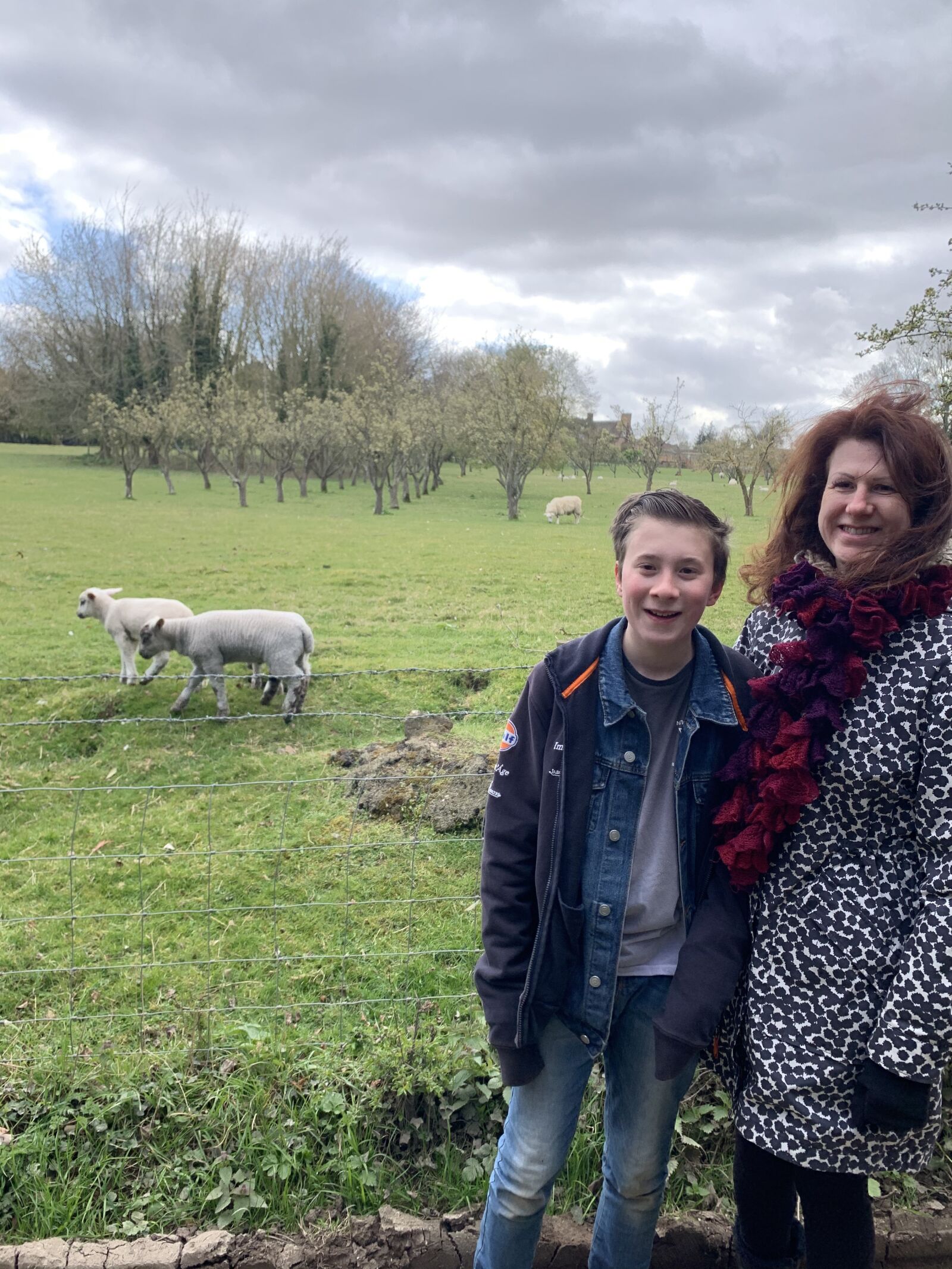 Apple iPhone XR sample photo. Lambs, countryside, england photography