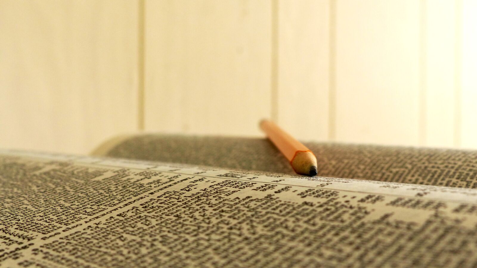 Panasonic Lumix DMC-FZ200 sample photo. Table, relaxation, wood photography