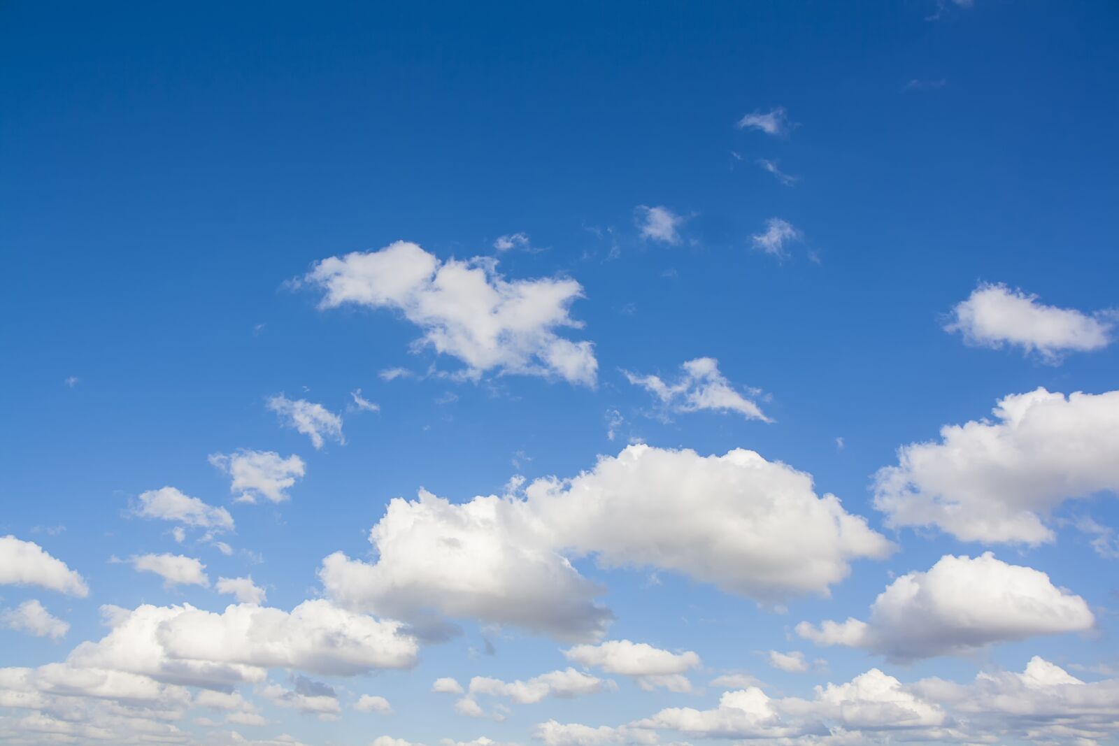 Canon EOS 1000D (EOS Digital Rebel XS / EOS Kiss F) sample photo. Cloud, clod, blue photography