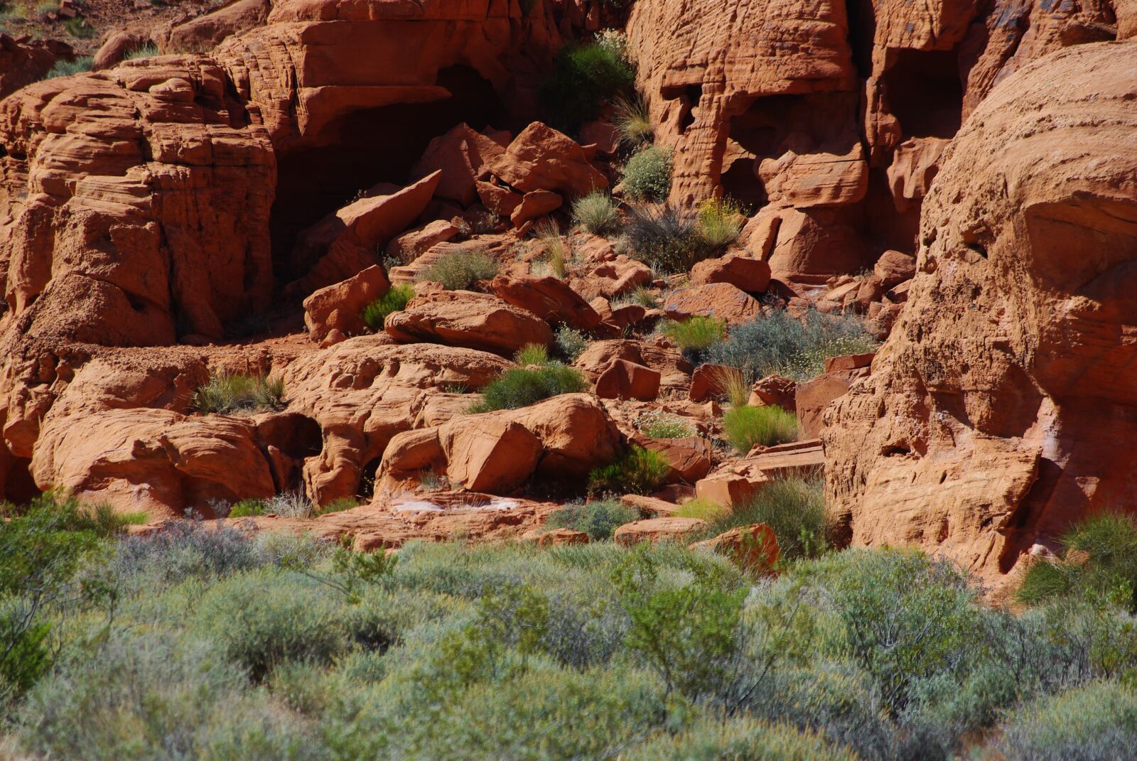 Pentax K200D sample photo. Valley of fire, red photography
