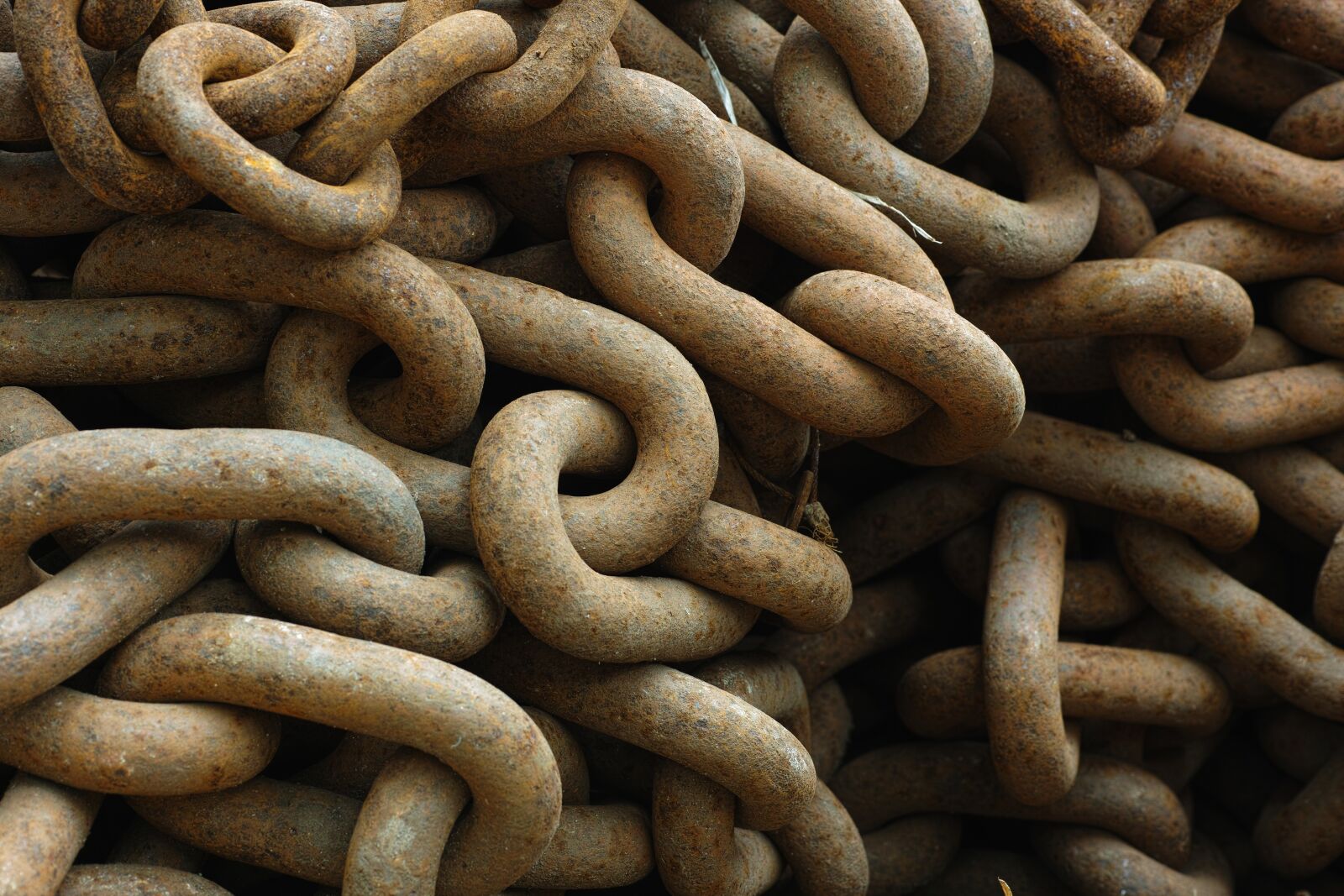 Sigma DP3 Merrill sample photo. Chain, rusty, brown photography