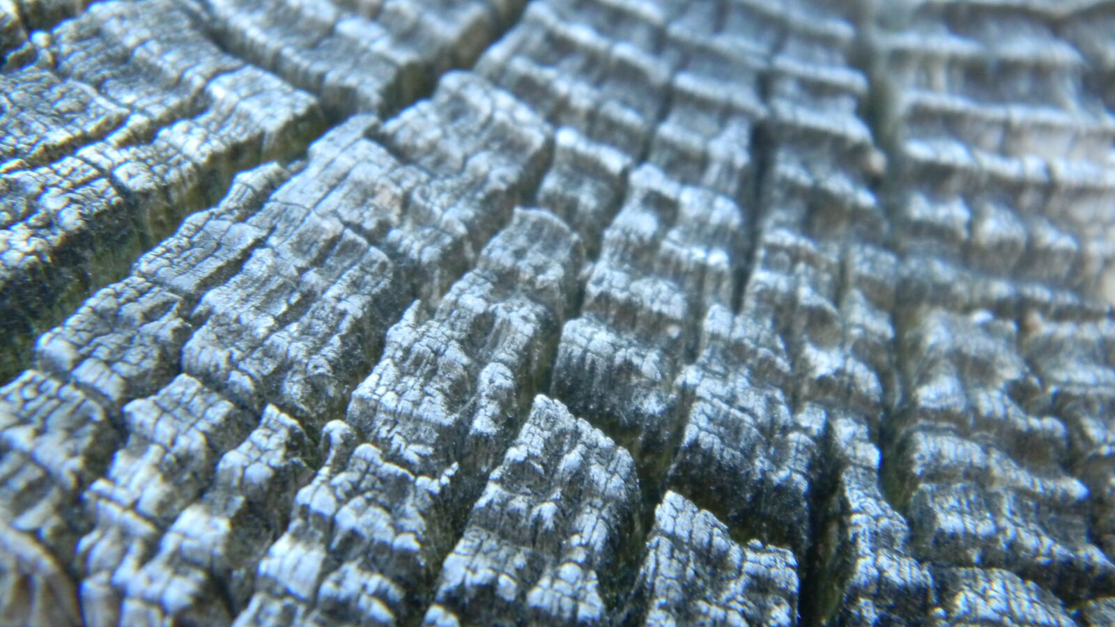 Nikon Coolpix S70 sample photo. Wood, texture, gray photography