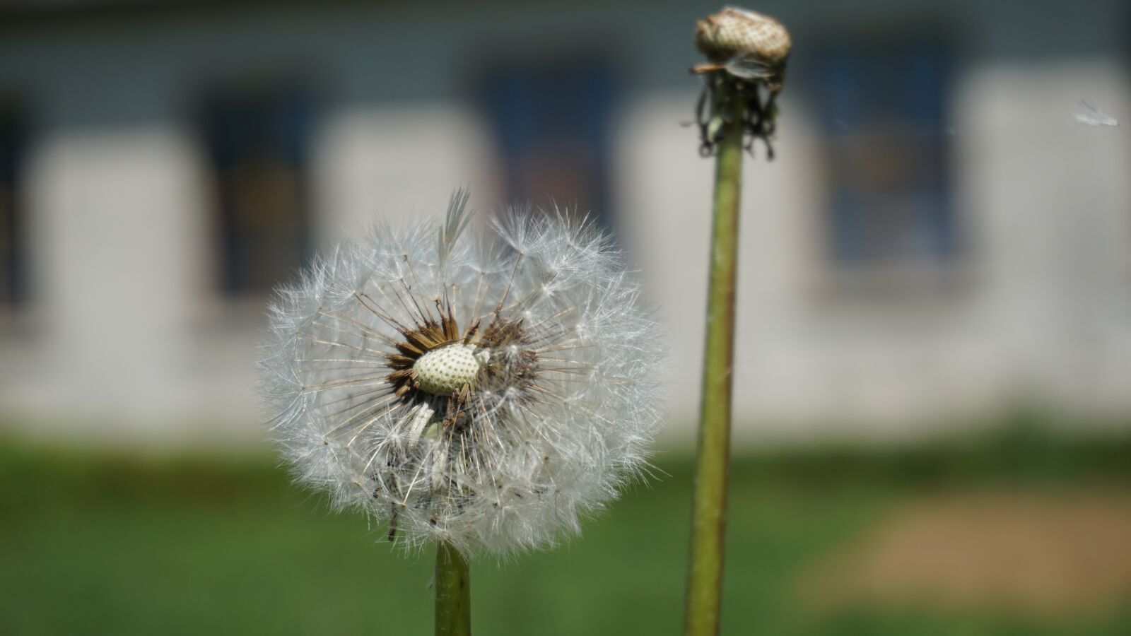 Sony a6000 sample photo. Countryside, nature, camp photography