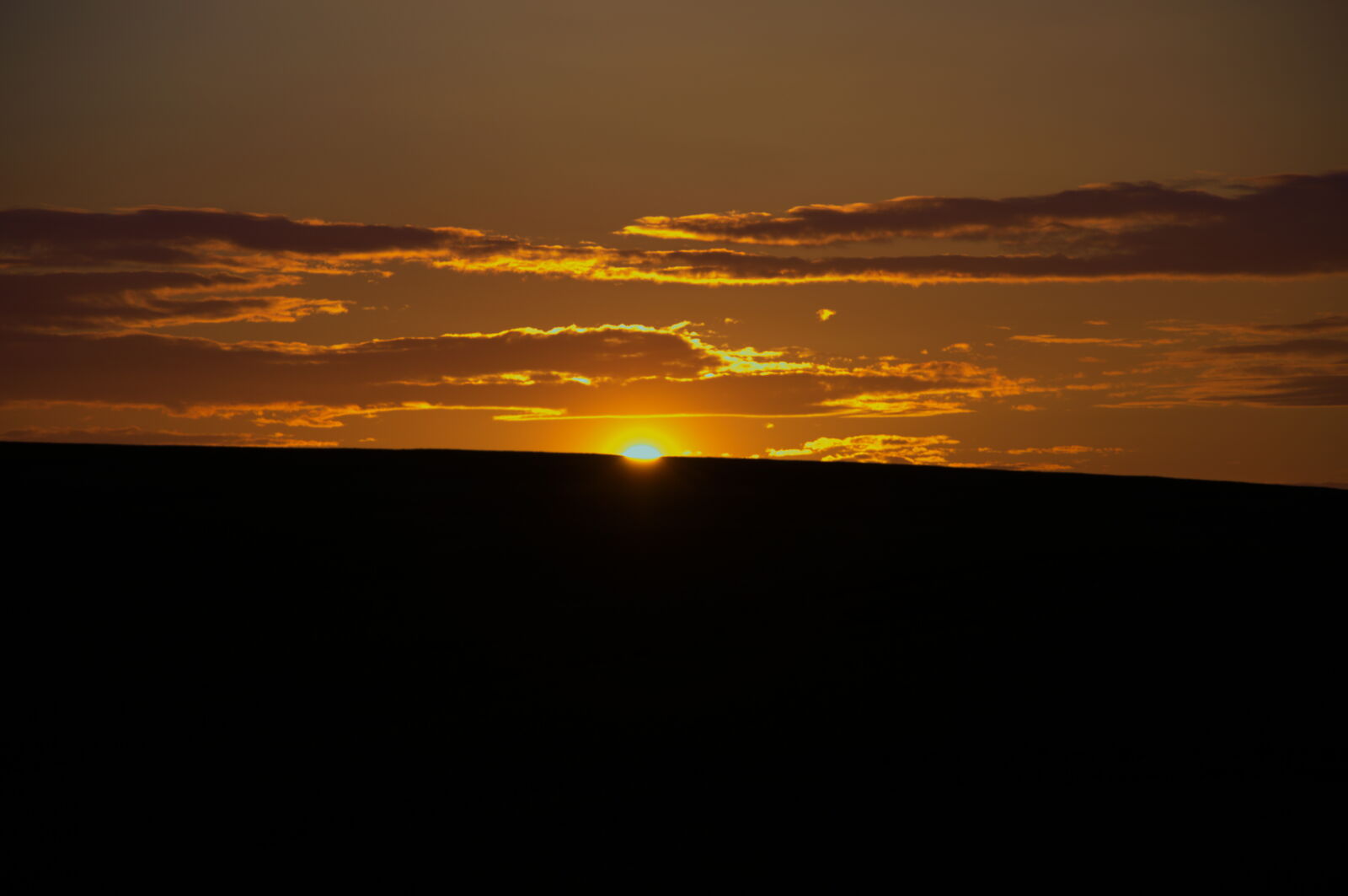 Nikon D3200 sample photo