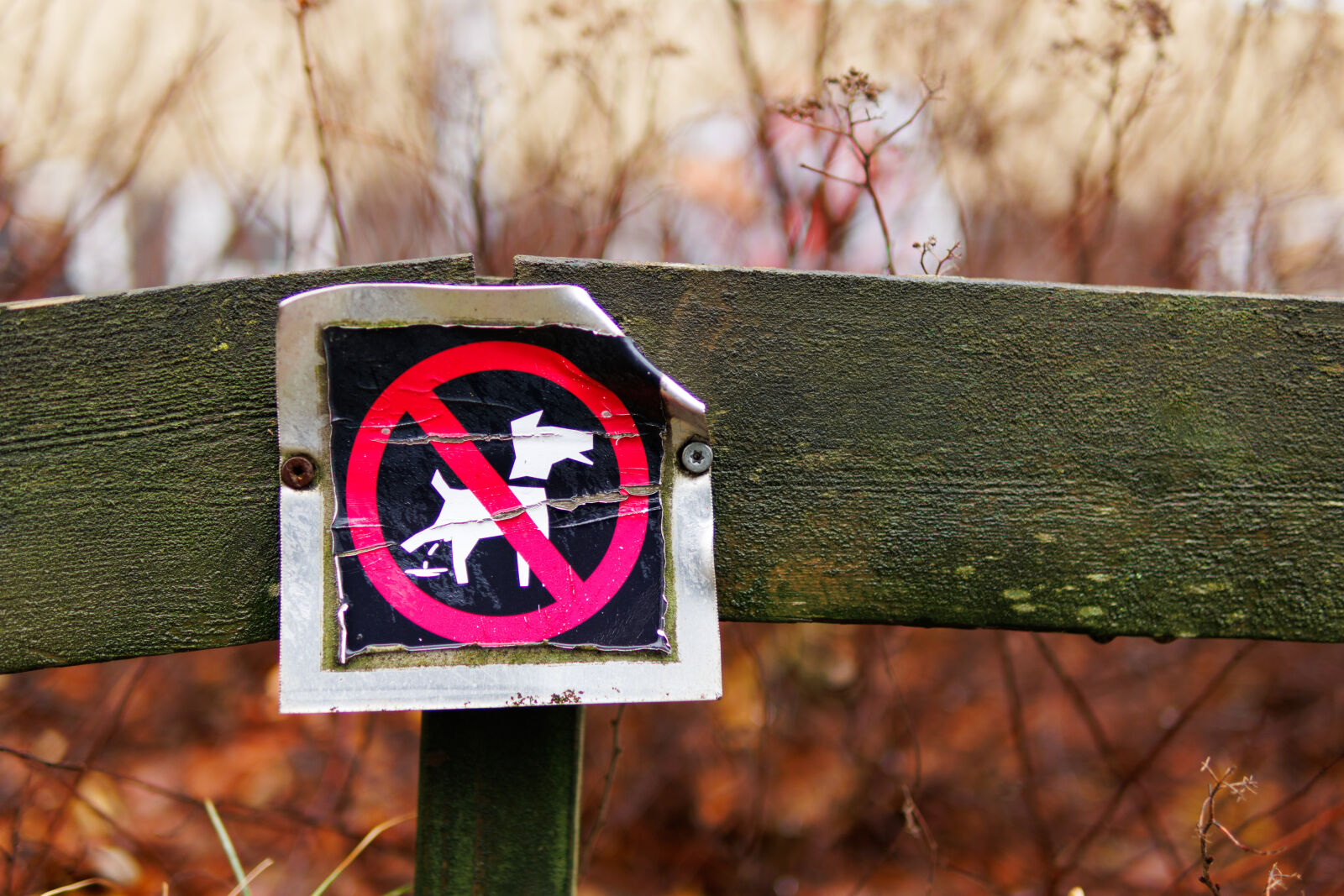 Sigma 30mm F1.4 DC DN | C sample photo. No dogs sign photography