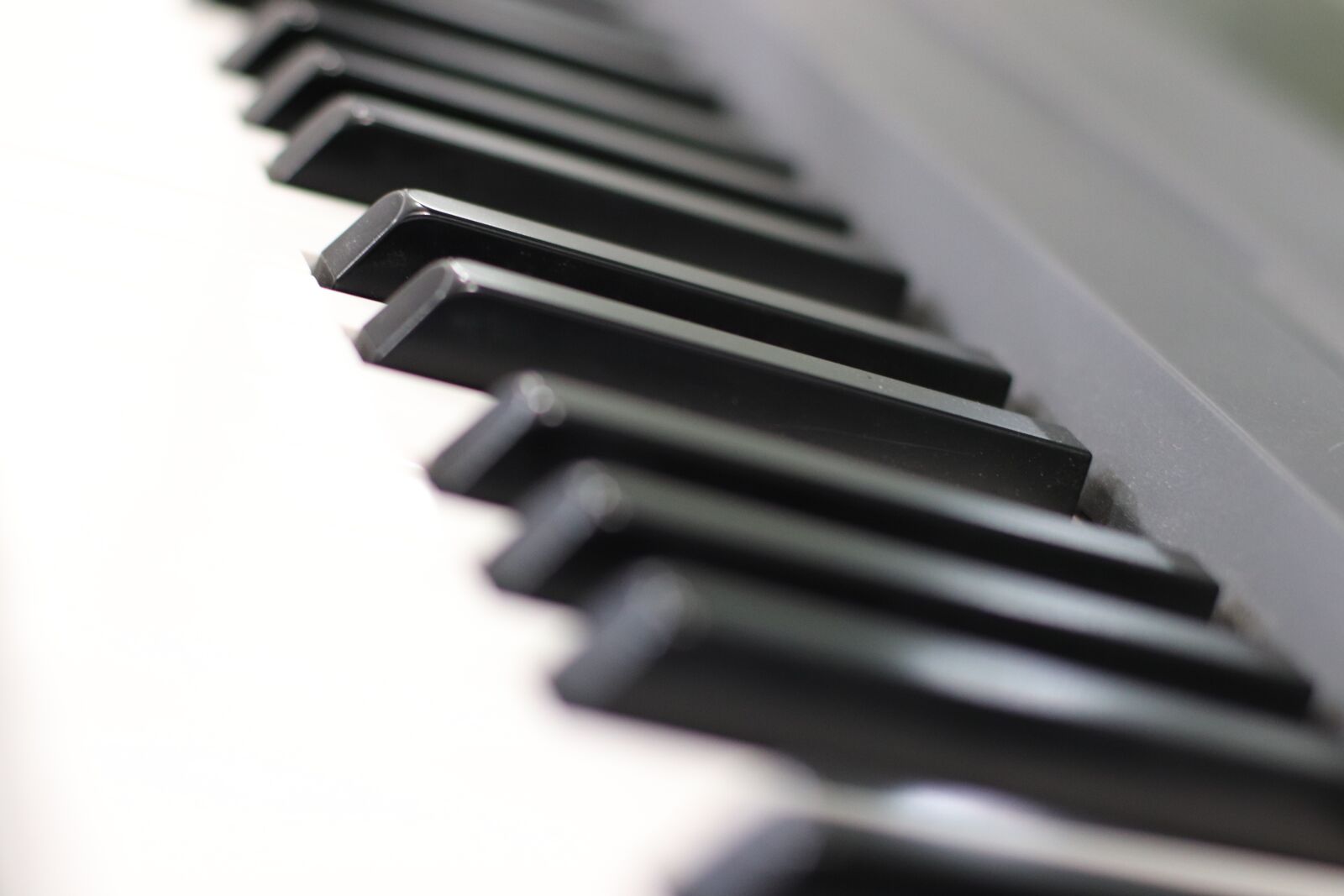 Canon EOS 77D (EOS 9000D / EOS 770D) sample photo. Keyboards, piano, music photography