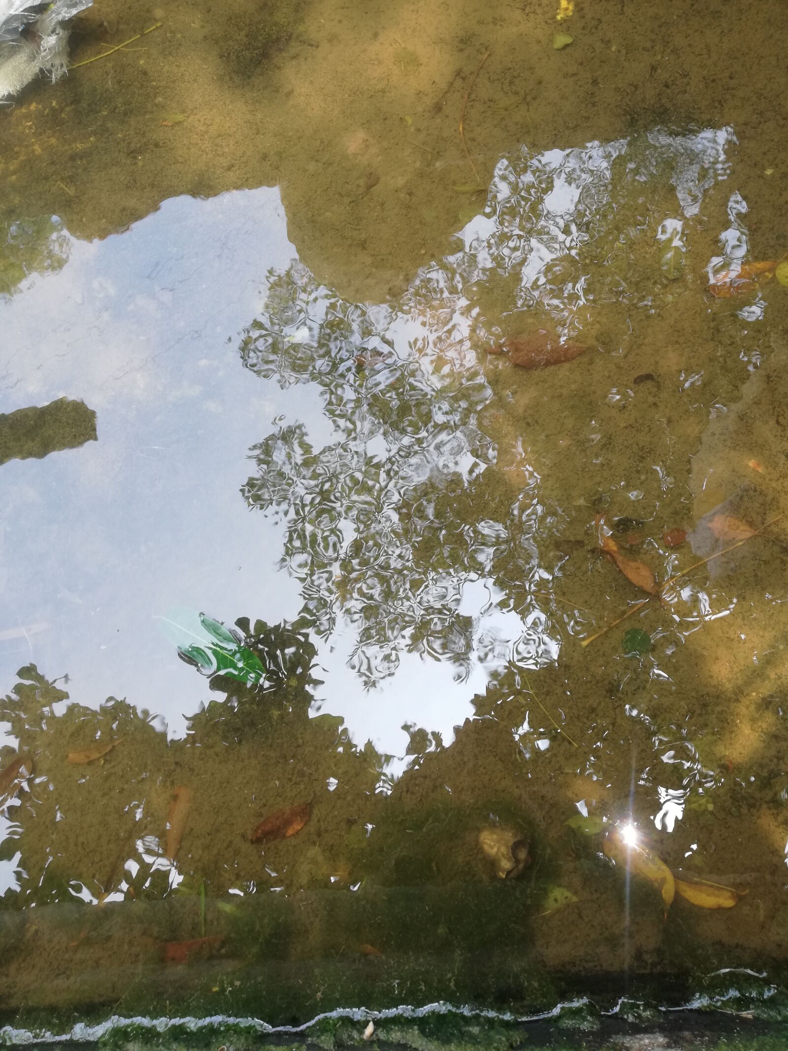 HUAWEI RNE-L21 sample photo