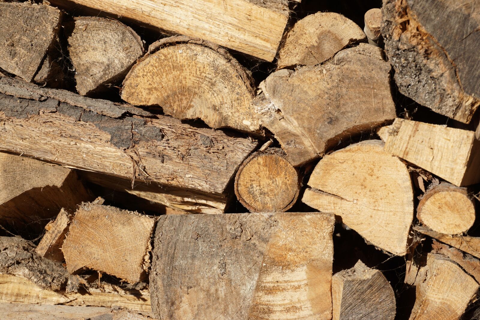 Sony E 16-50mm F3.5-5.6 PZ OSS sample photo. Firewood, wood, stump photography