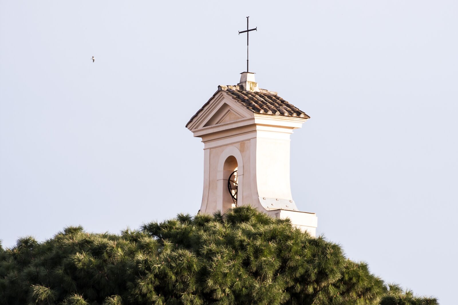 Canon EOS 40D sample photo. Santi cosma e damiano photography