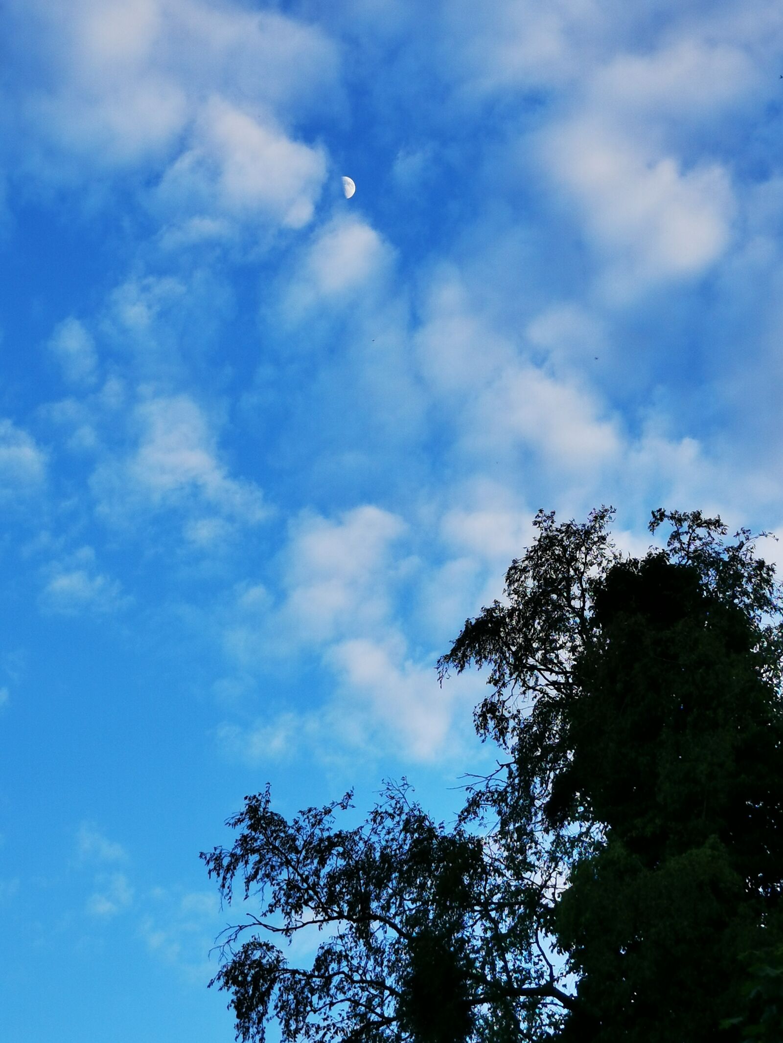 HUAWEI P30 sample photo. Moon, clouds, sky photography