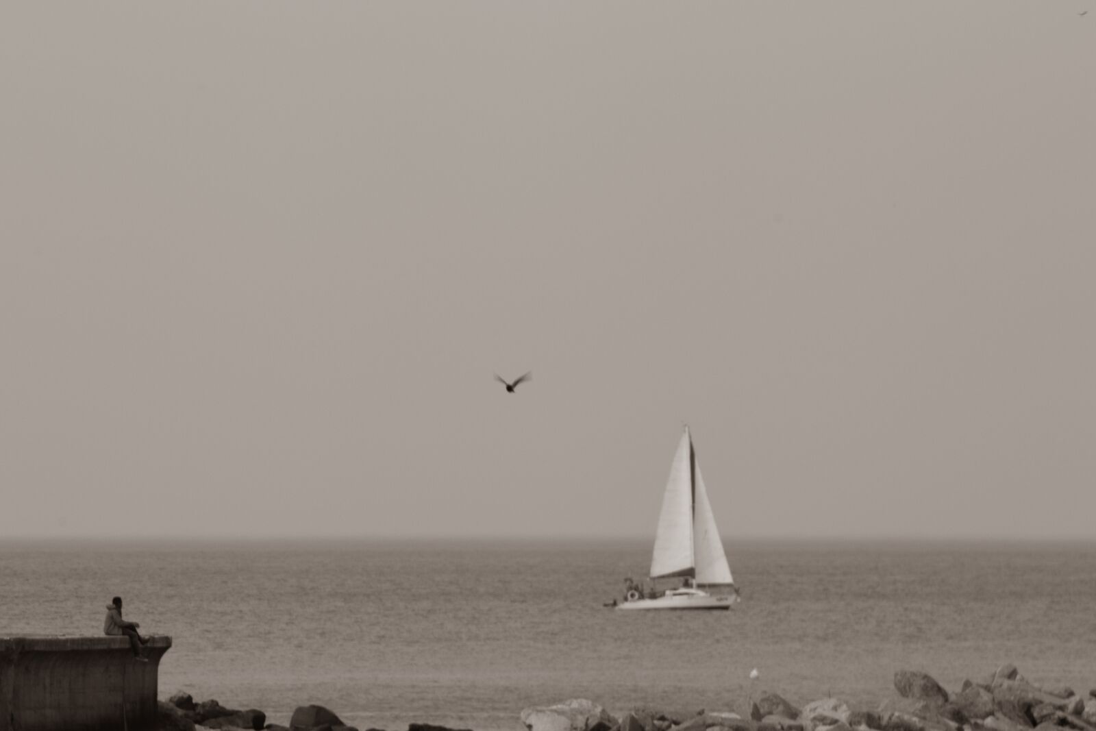 Canon EOS 200D (EOS Rebel SL2 / EOS Kiss X9) sample photo. Person, sailboat, boat photography