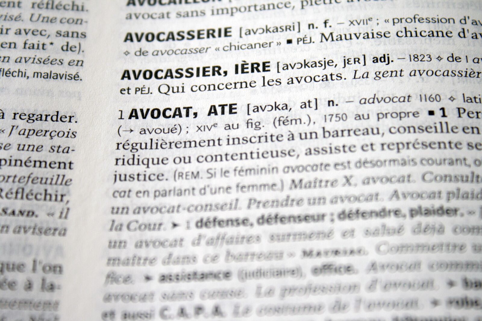 Canon EOS 400D (EOS Digital Rebel XTi / EOS Kiss Digital X) sample photo. Lawyer, definition, dictionary photography