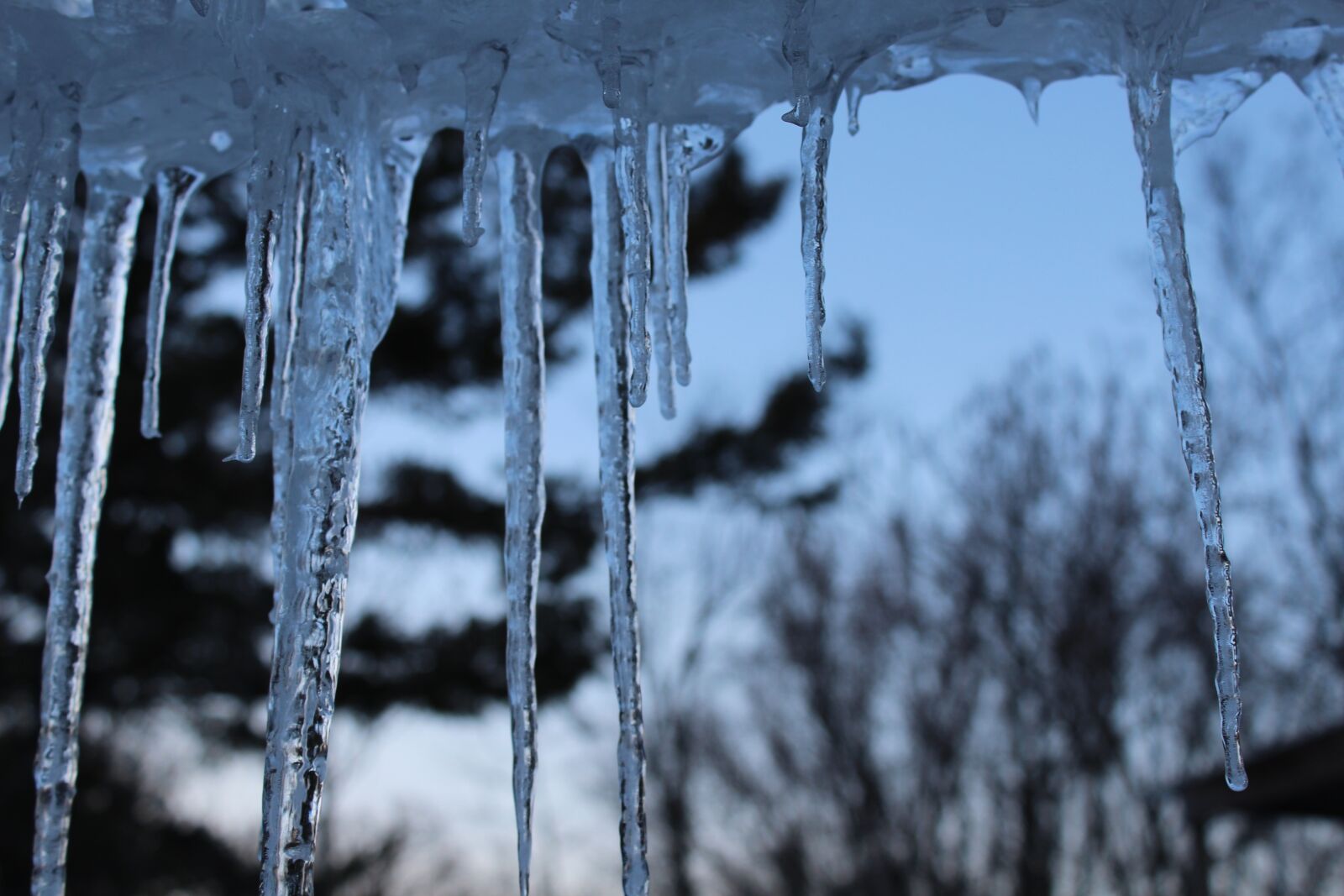 Canon EOS 1200D (EOS Rebel T5 / EOS Kiss X70 / EOS Hi) sample photo. Icicles, winter, cold photography