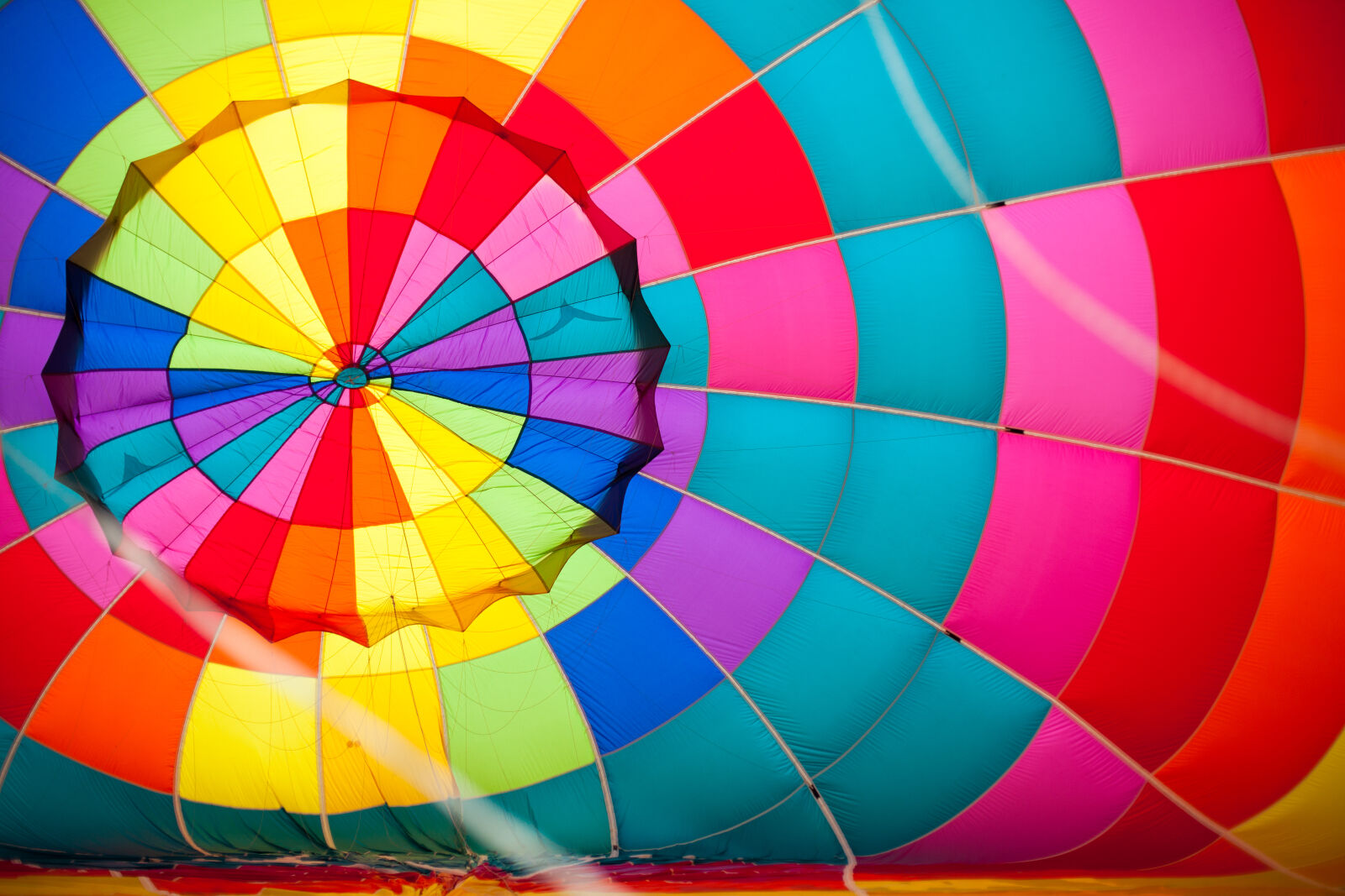 Canon EF 50mm F1.4 USM sample photo. Colourful, hot, air, balloon photography