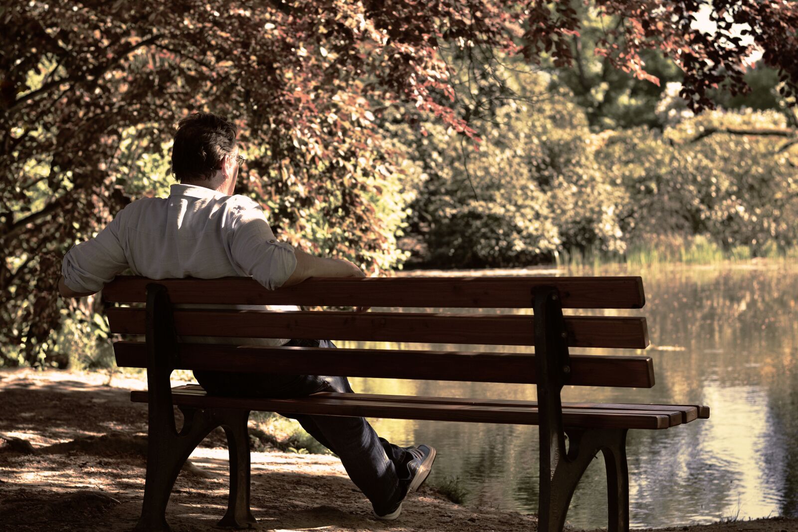 Nikon D5200 sample photo. Bank, park bench, sit photography