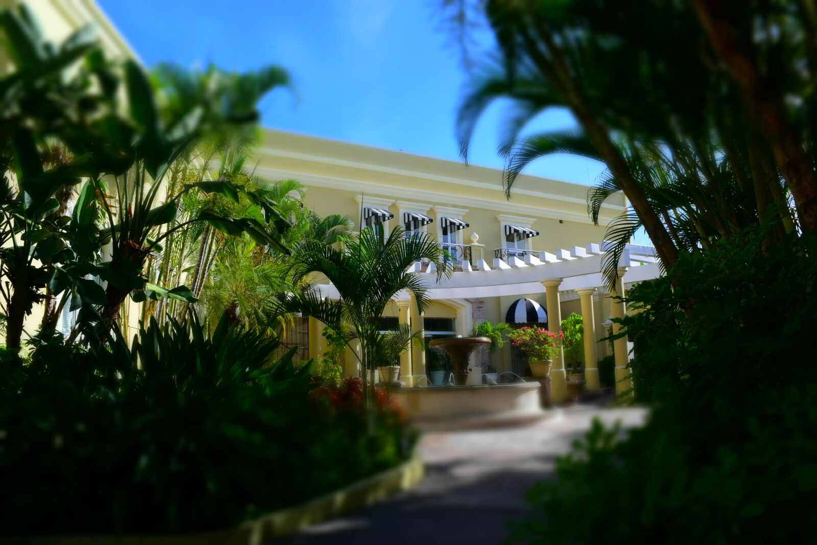 Nikon D3300 sample photo. Blur, hotel, mazatlan, palms photography