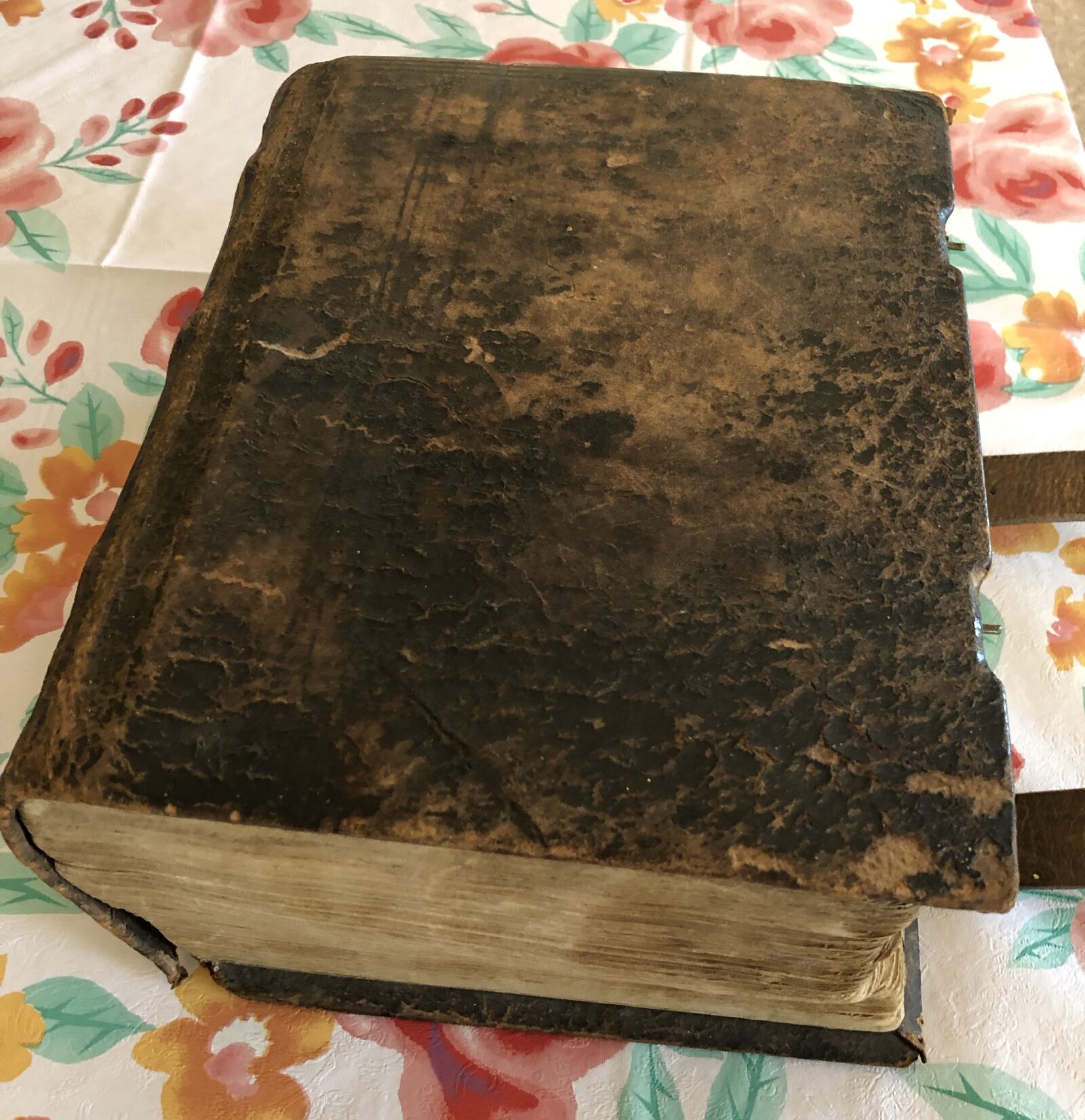 Apple iPhone 8 sample photo. Antique, old, book photography