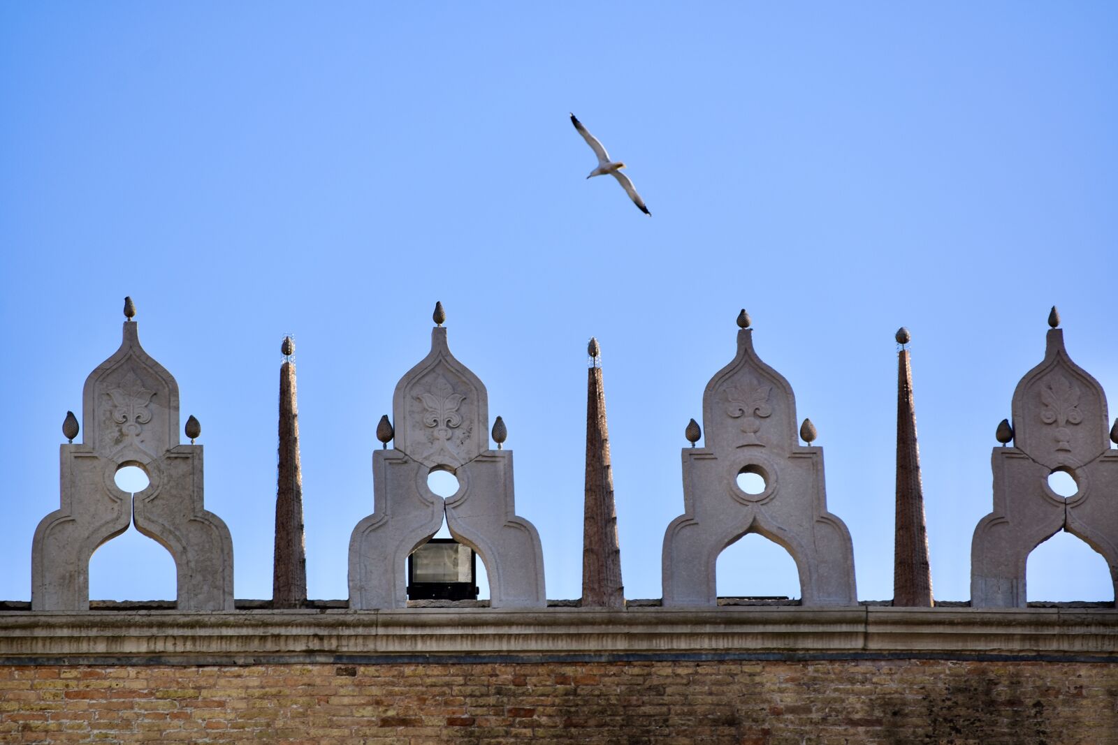 Nikon D5600 sample photo. Seagull, venice, nature photography