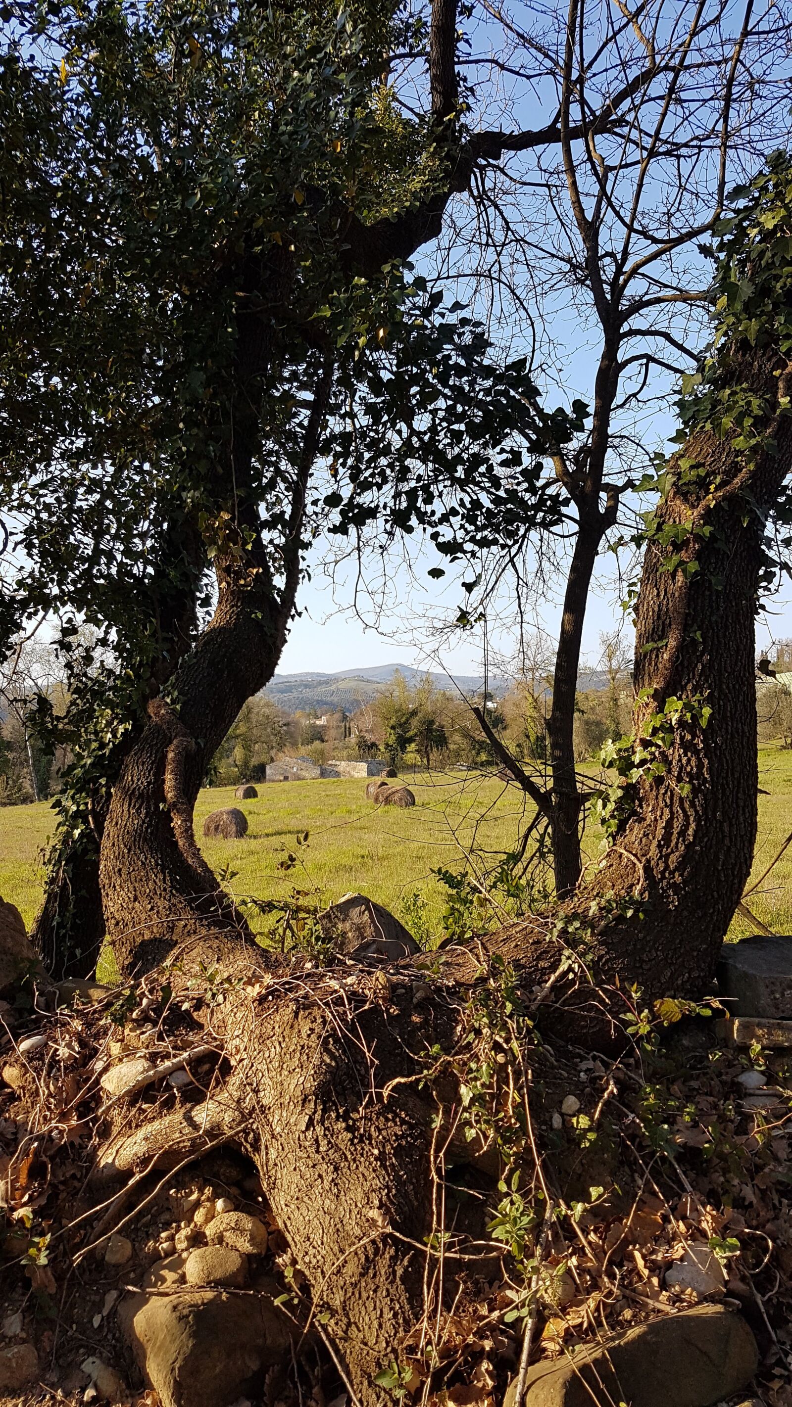 Samsung Galaxy S7 Edge sample photo. Landscape, umbria, location photography