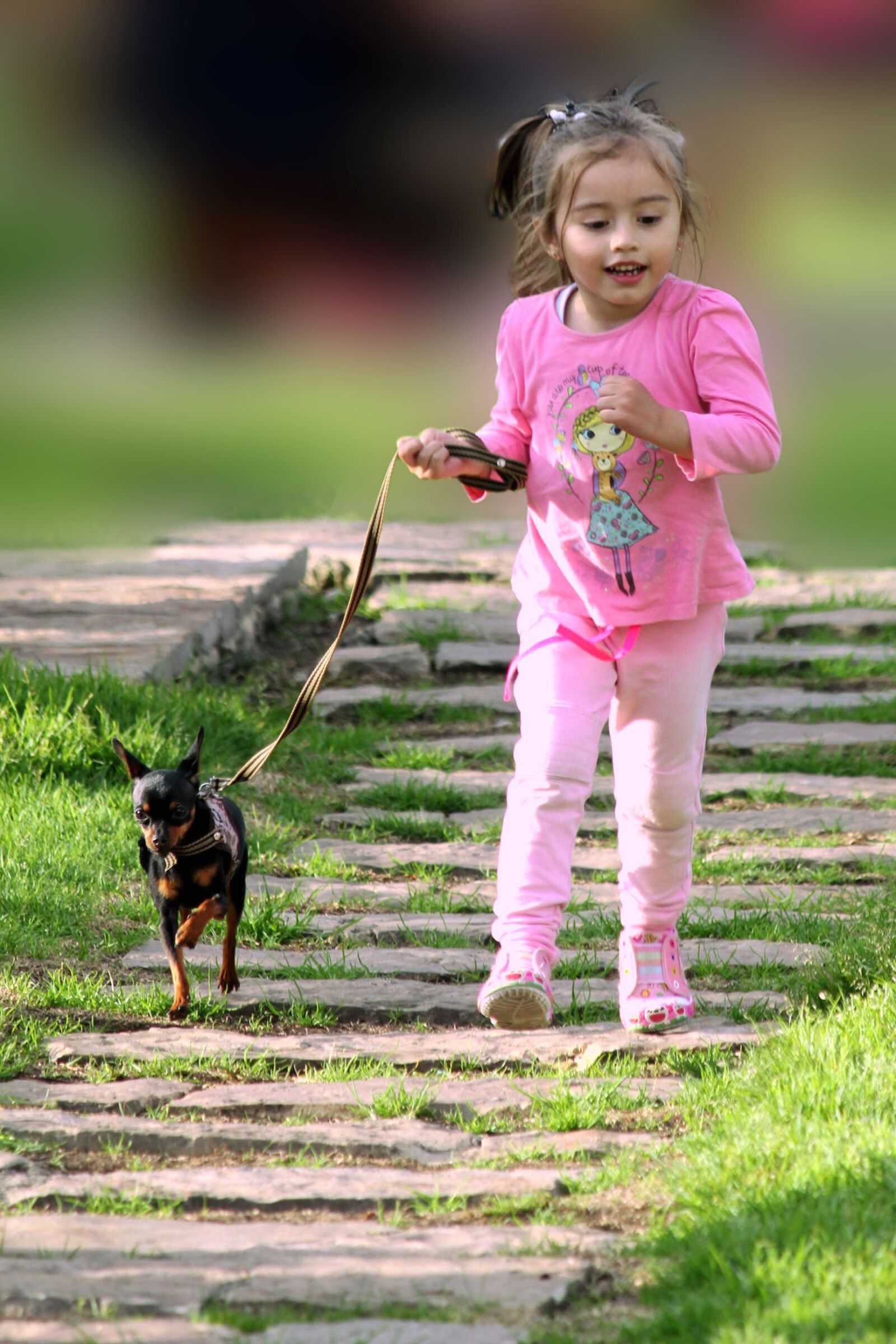 Canon EOS 550D (EOS Rebel T2i / EOS Kiss X4) sample photo. Pet, dog, girl photography