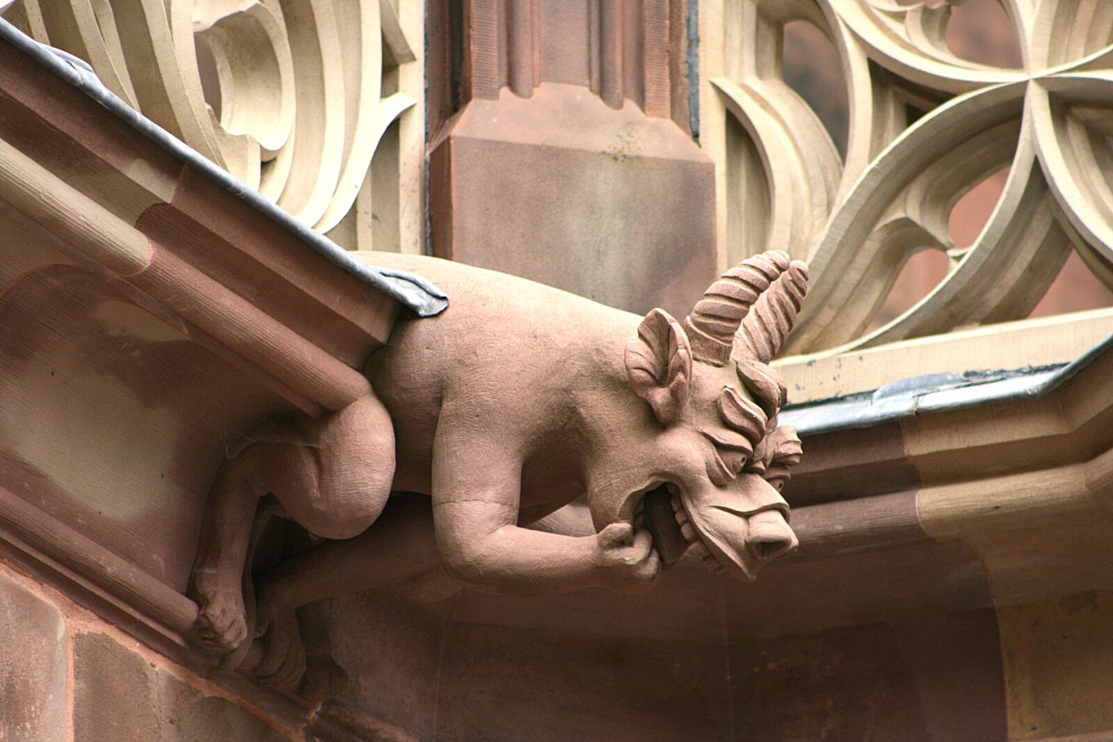 Canon EOS 400D (EOS Digital Rebel XTi / EOS Kiss Digital X) sample photo. Strasbourg, m nster, stonemason photography