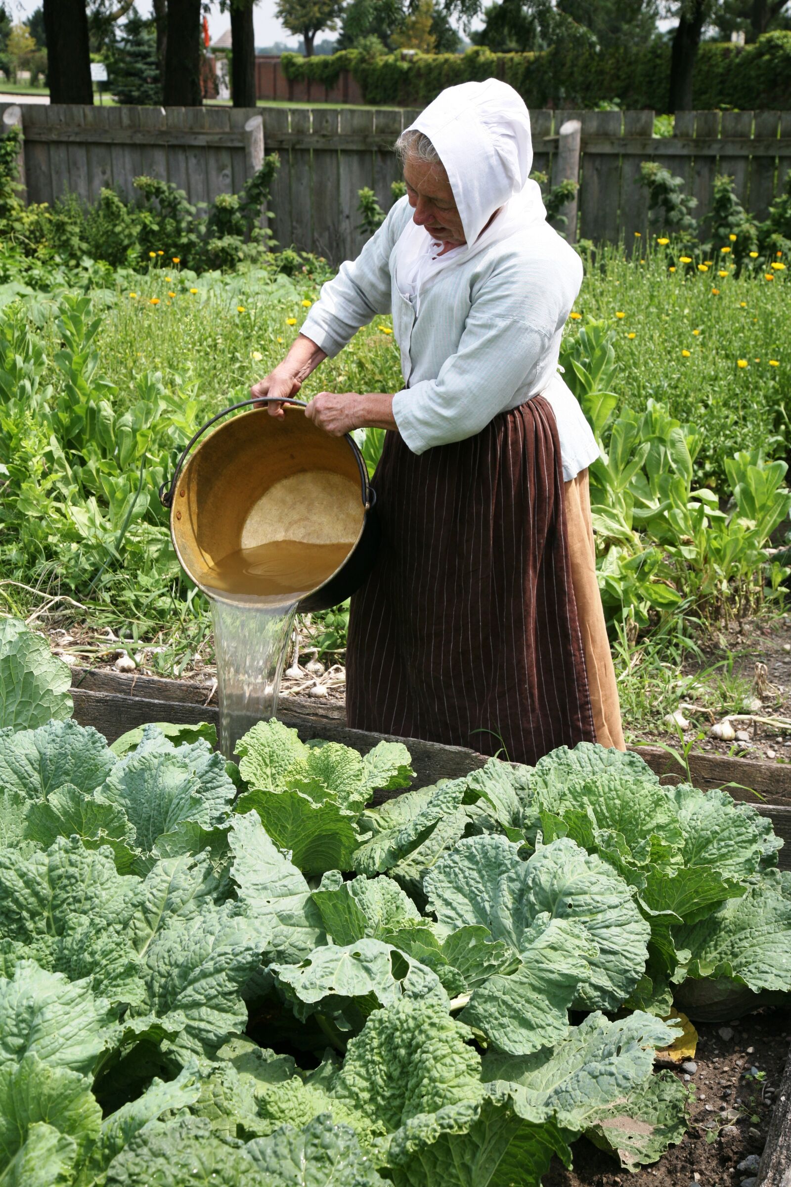 Canon EOS 5D sample photo. Farming, homesteading photography