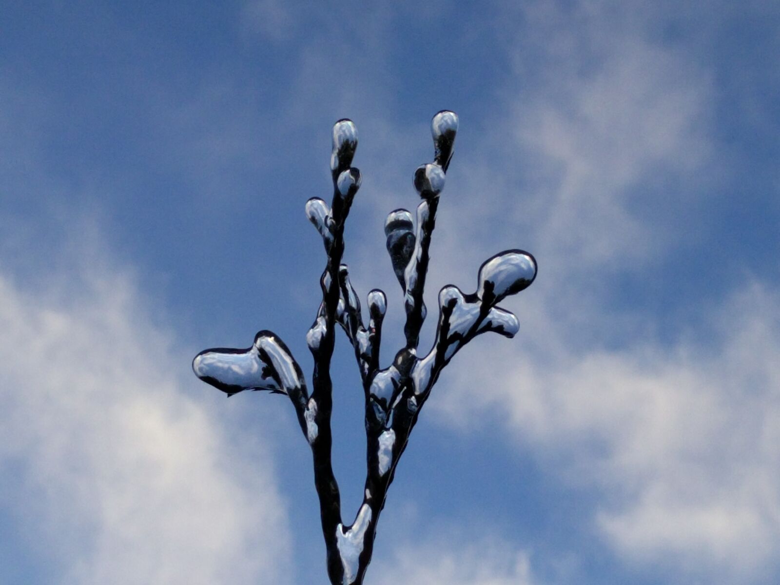 Google Nexus 6P sample photo. Frozen branch, sky, frost photography