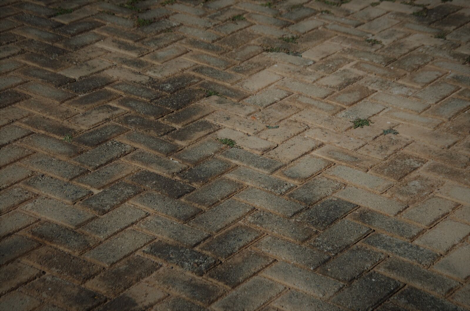 Nikon D5100 sample photo. Sidewalk, floor, ground photography