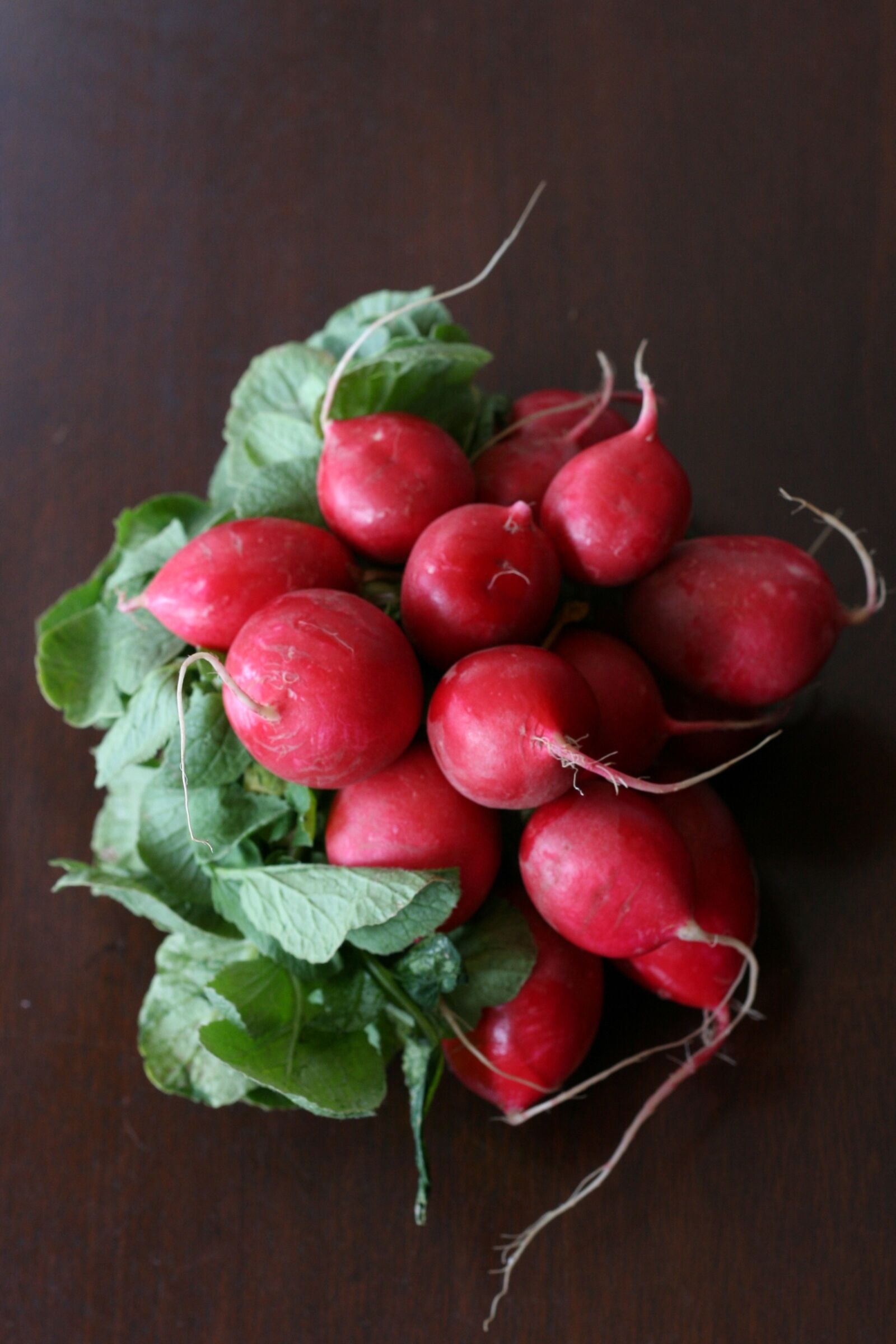 Canon EOS 350D (EOS Digital Rebel XT / EOS Kiss Digital N) sample photo. Radish, organic, healthy photography