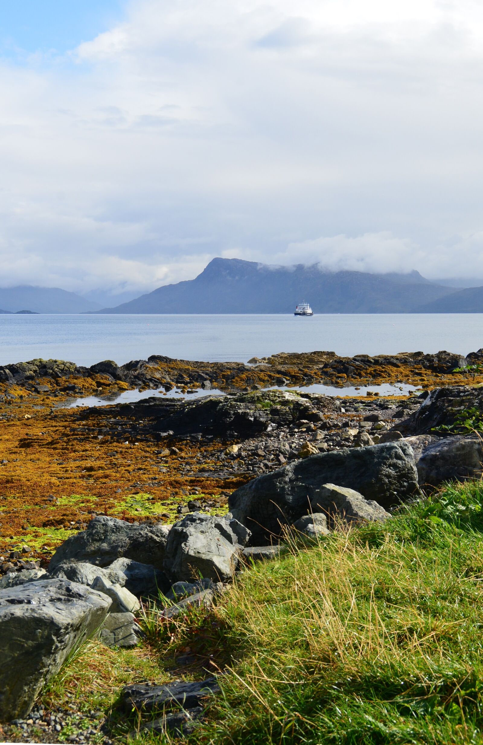 Nikon D800 sample photo. Scotland, sea, heather photography