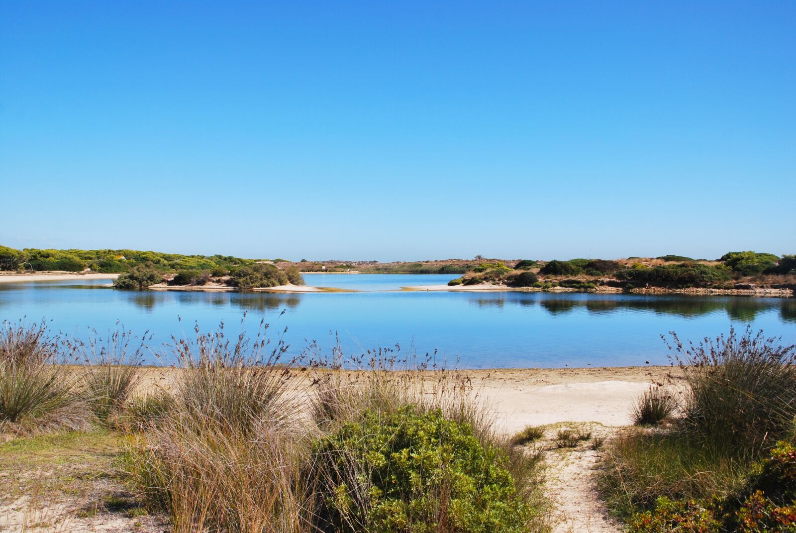 Nikon D60 sample photo. Landscape, beautiful, water photography