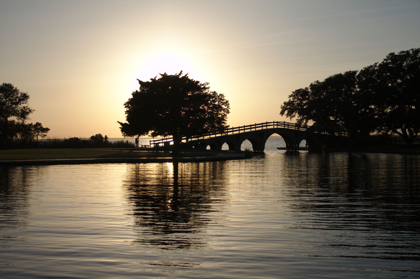 Canon EOS 1100D (EOS Rebel T3 / EOS Kiss X50) sample photo. Bridge, landscape, nature, outdoor photography