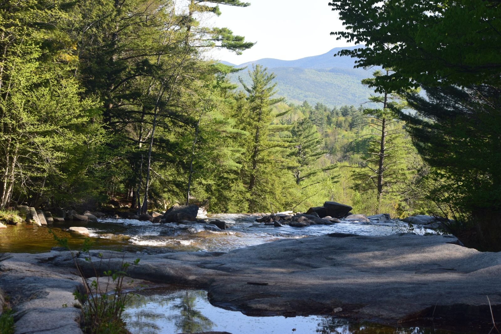Nikon D3300 sample photo. Forest, trees, river photography