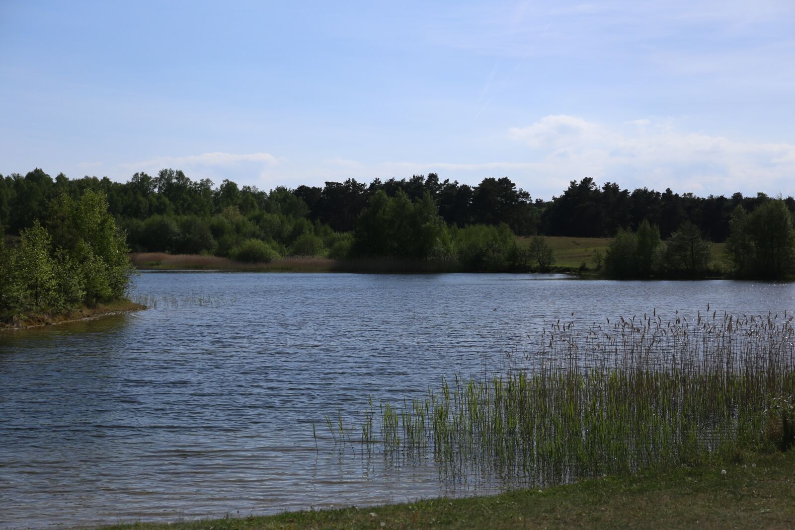 Canon EF 24-70mm F4L IS USM sample photo. Lake, water, nature photography