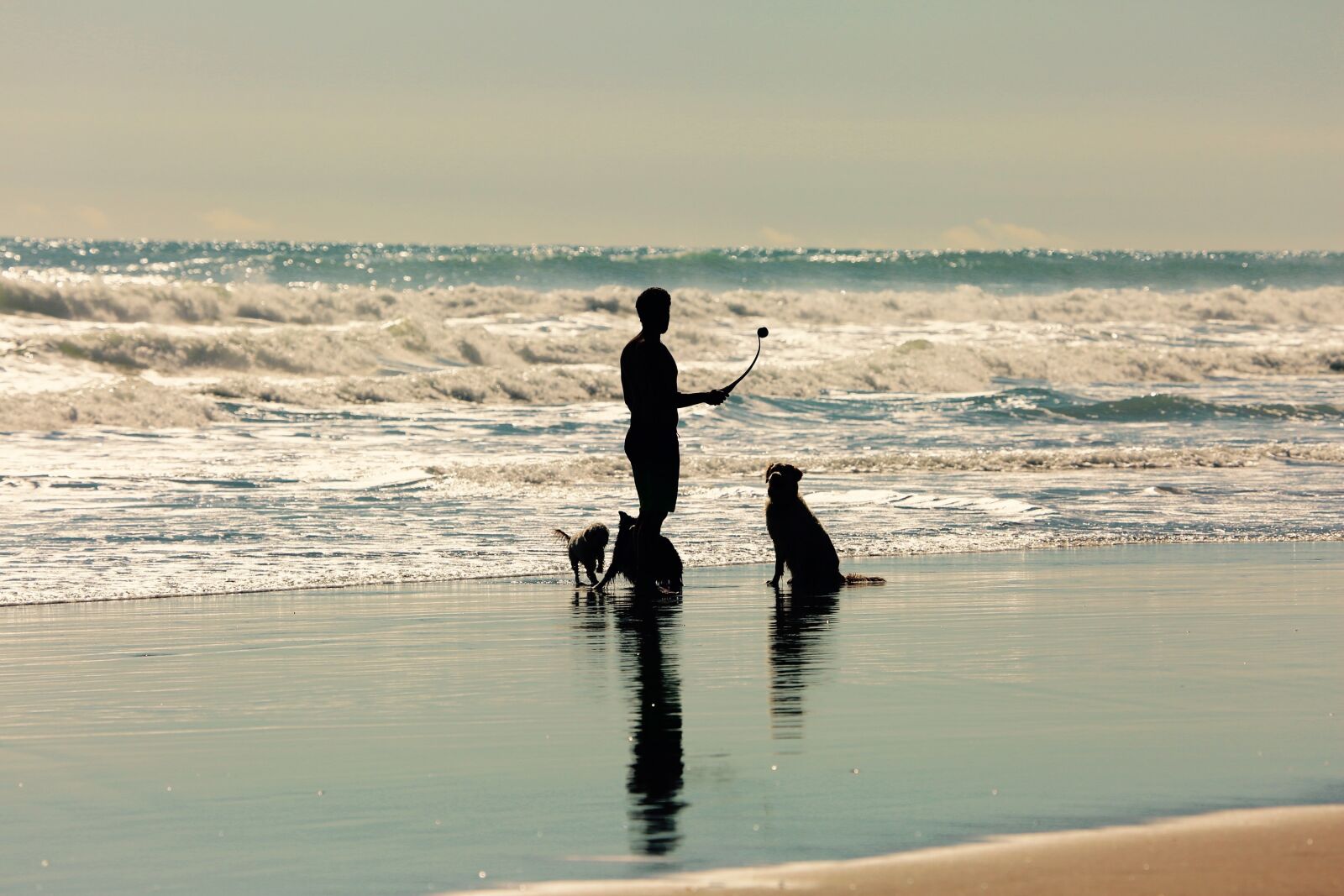 Canon EF 100-400mm F4.5-5.6L IS USM sample photo. Beach, person, dogs photography
