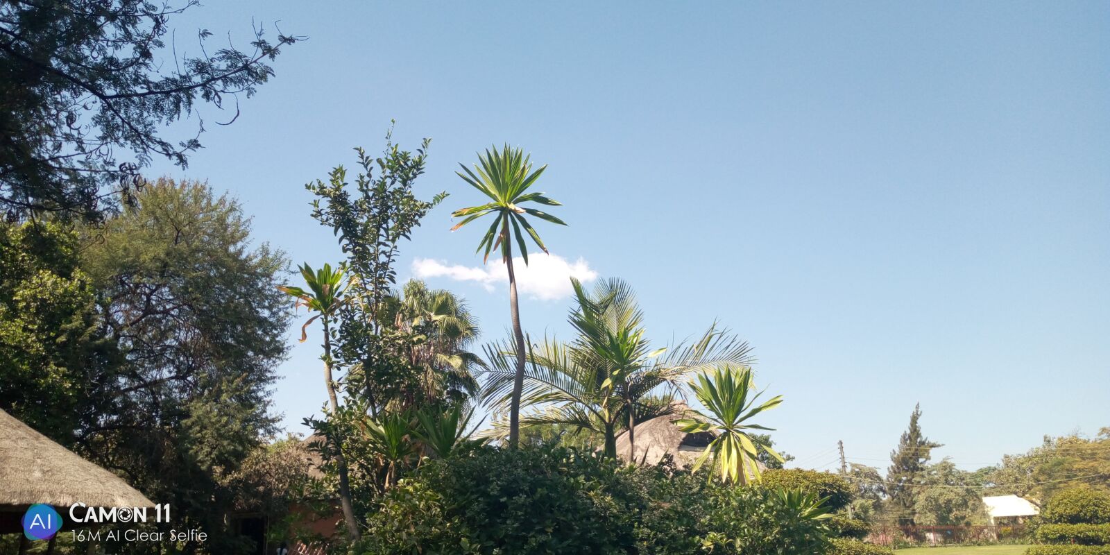 TECNO MOBILE LIMITED TECNO CF7 sample photo. Trees, sky, clouds photography