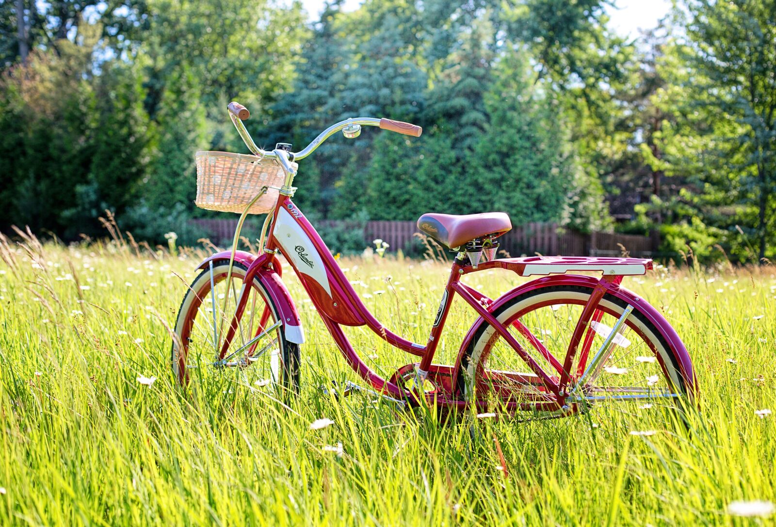 Canon EF 50mm F1.4 USM sample photo. Red bike, vintage bicycle photography