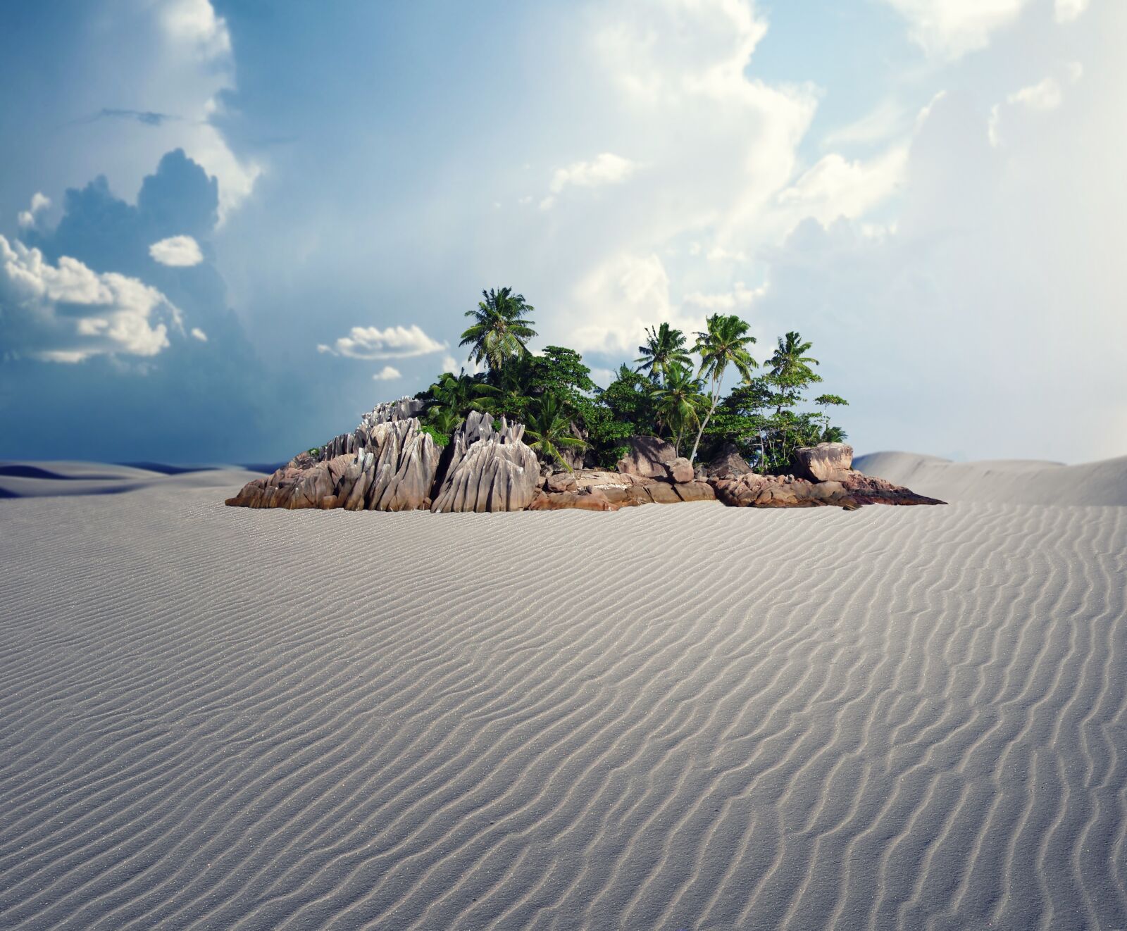 Nikon D90 sample photo. Nature, oasis, palm photography