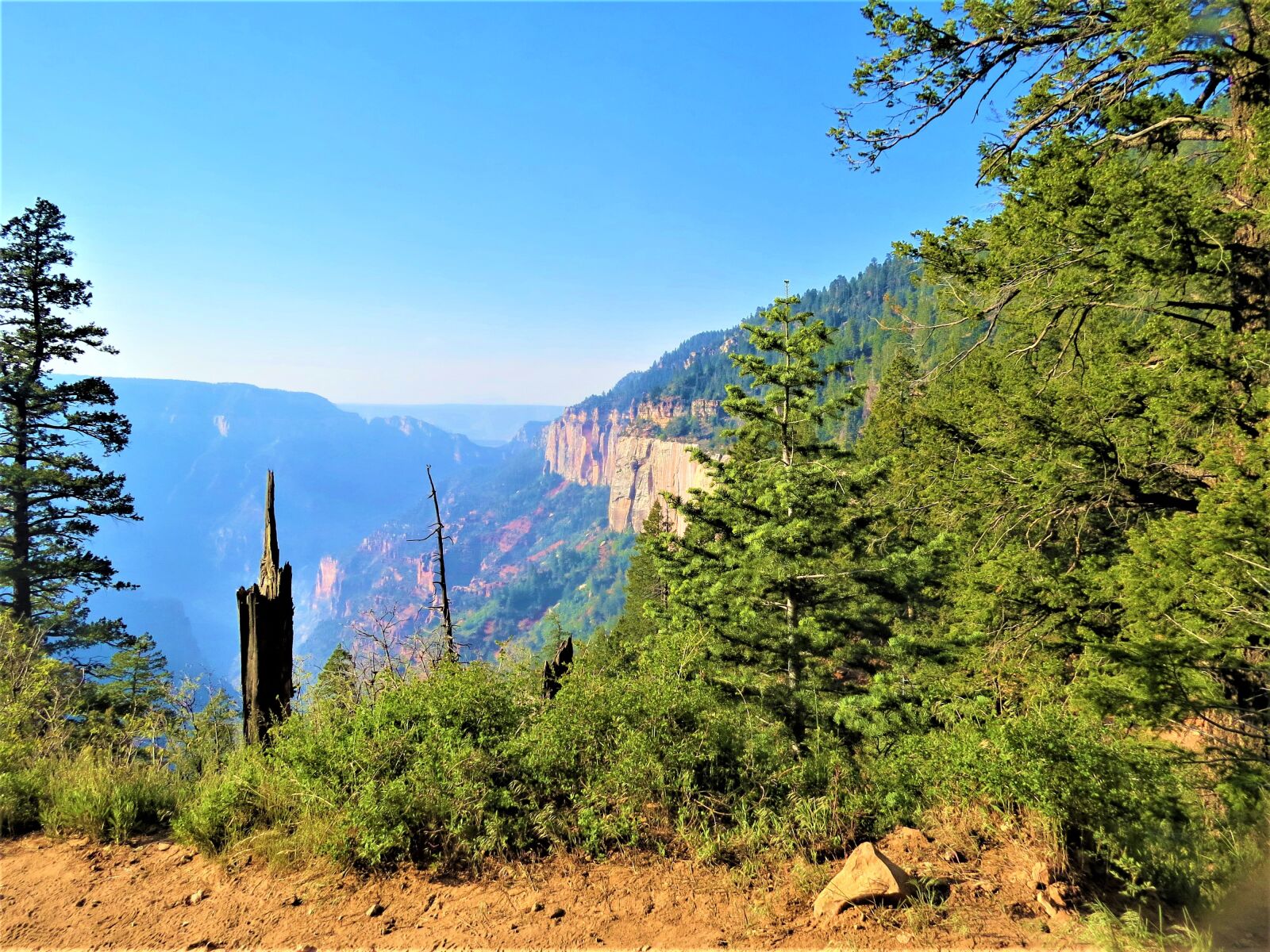 Canon PowerShot SX50 HS sample photo. North rim grand canyon photography