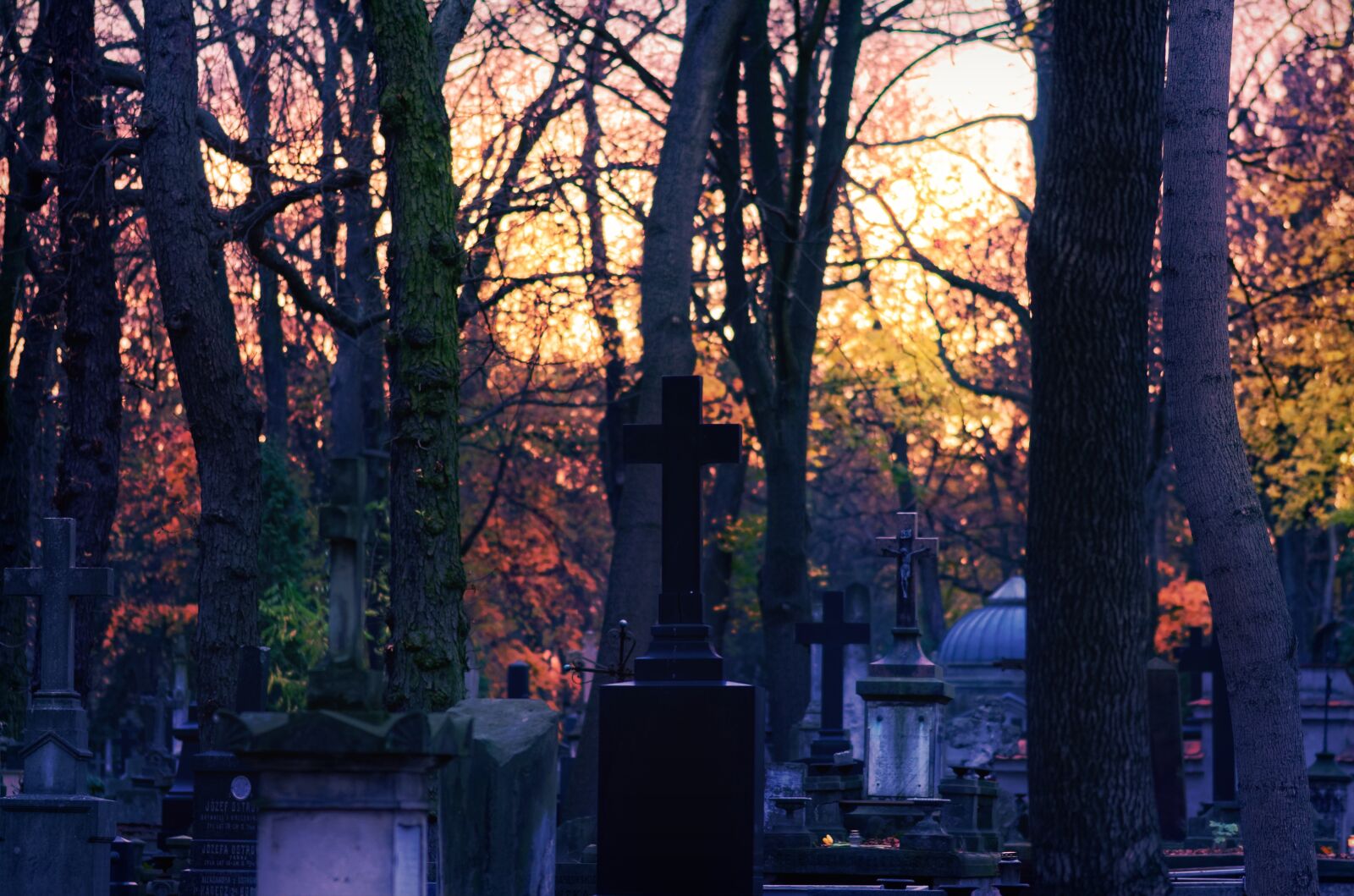 Nikon D5100 sample photo. Landscape, gloomy, cemetery photography