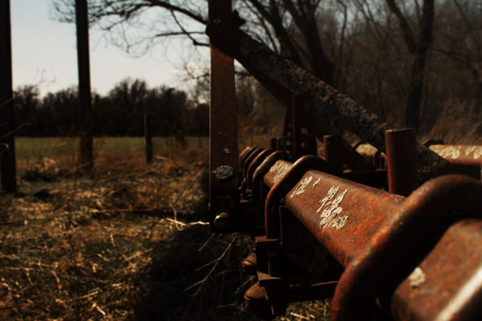 Canon EOS 1100D (EOS Rebel T3 / EOS Kiss X50) sample photo. Harvester, farm, equipment photography